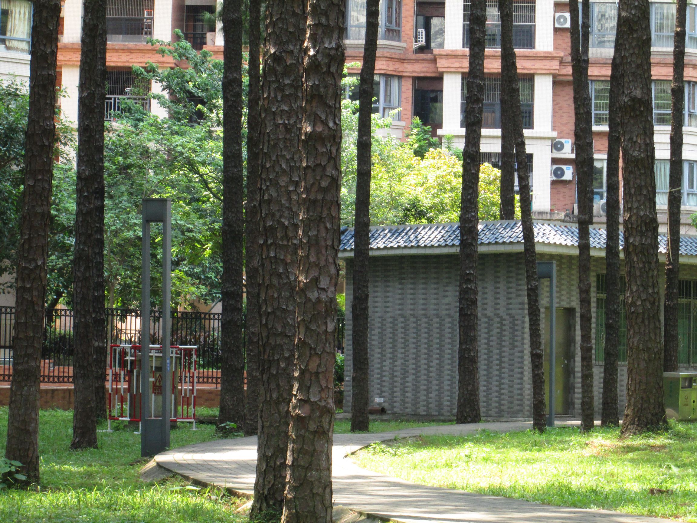 松林公园旅行图片 1