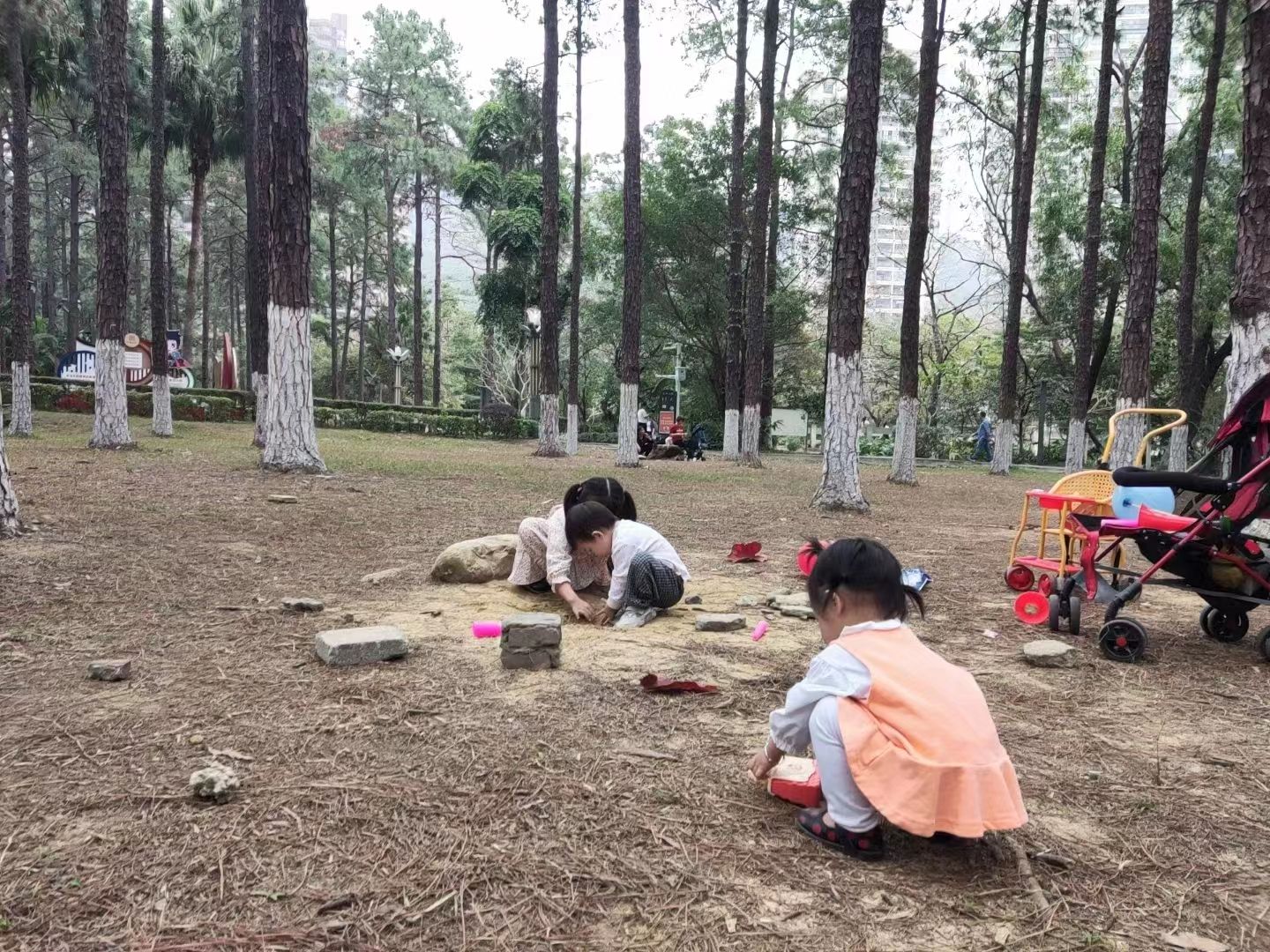 松林公园旅行图片 1