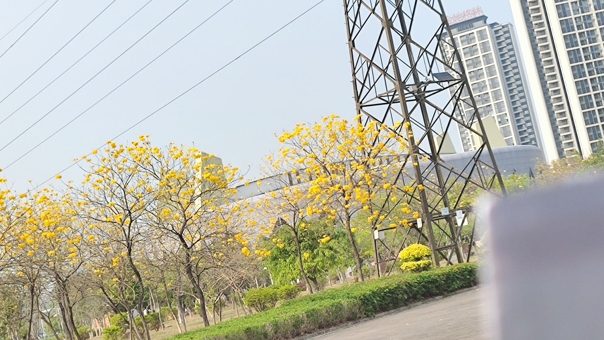 滨江公园旅行图片 3