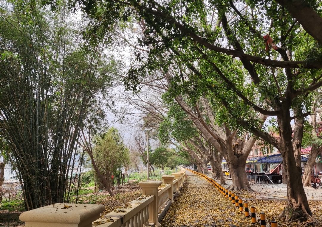 滨江公园旅行图片 1