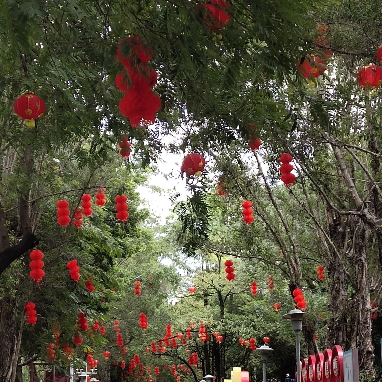 向秀丽公园旅行图片 1
