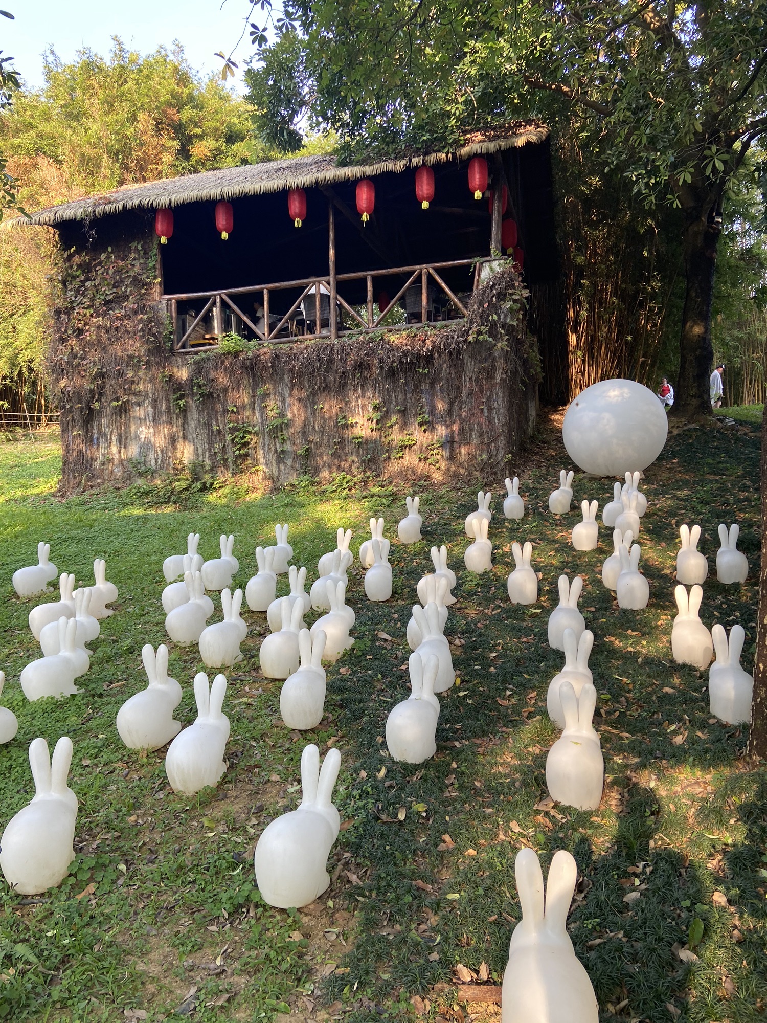 森波拉度假森林旅行图片 3