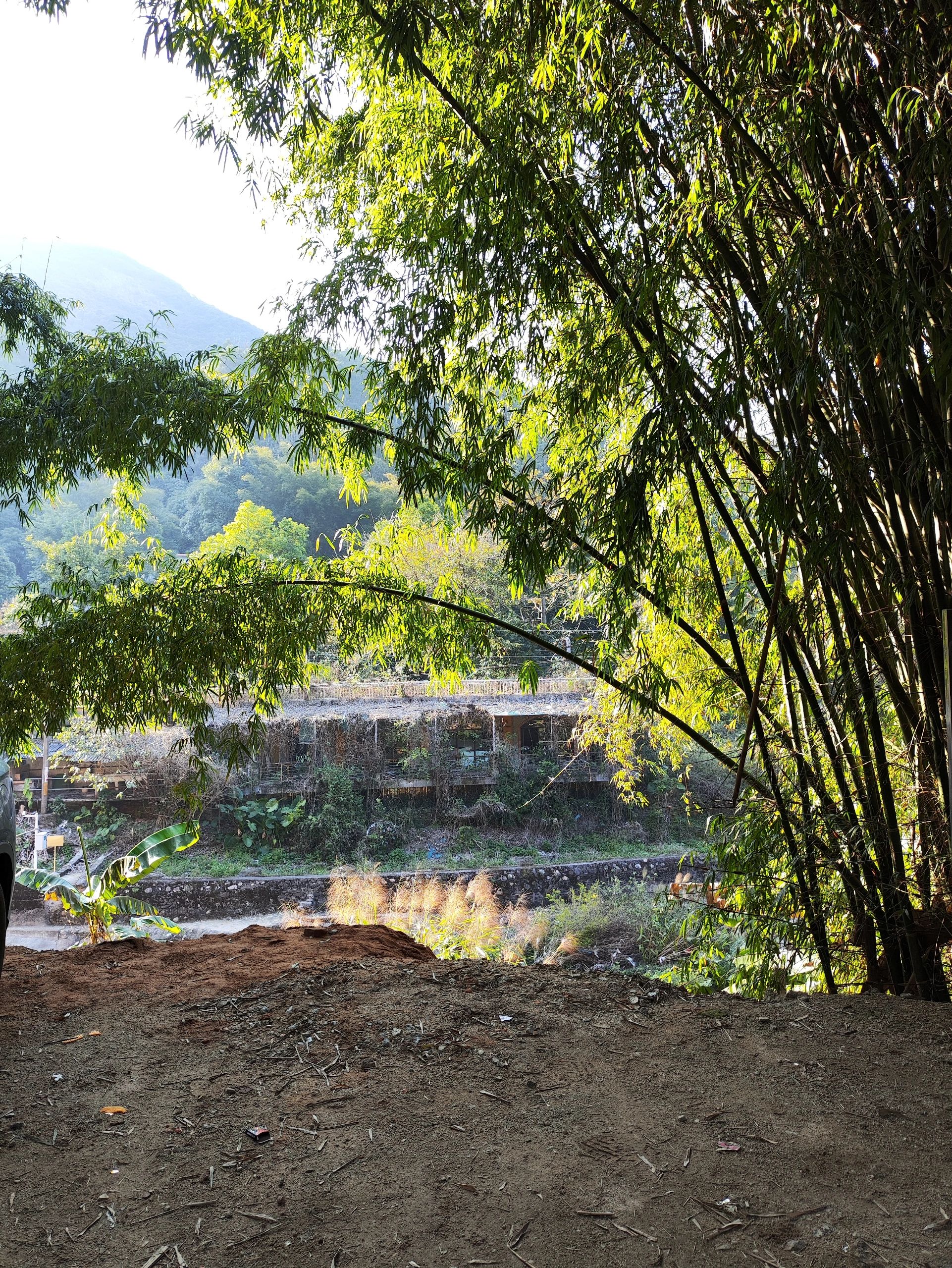 清远观音山旅行图片 2