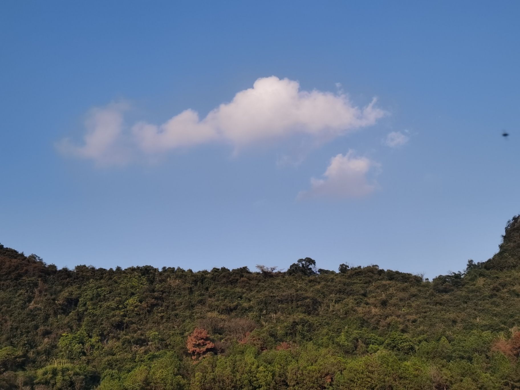 英红公园旅行图片 2
