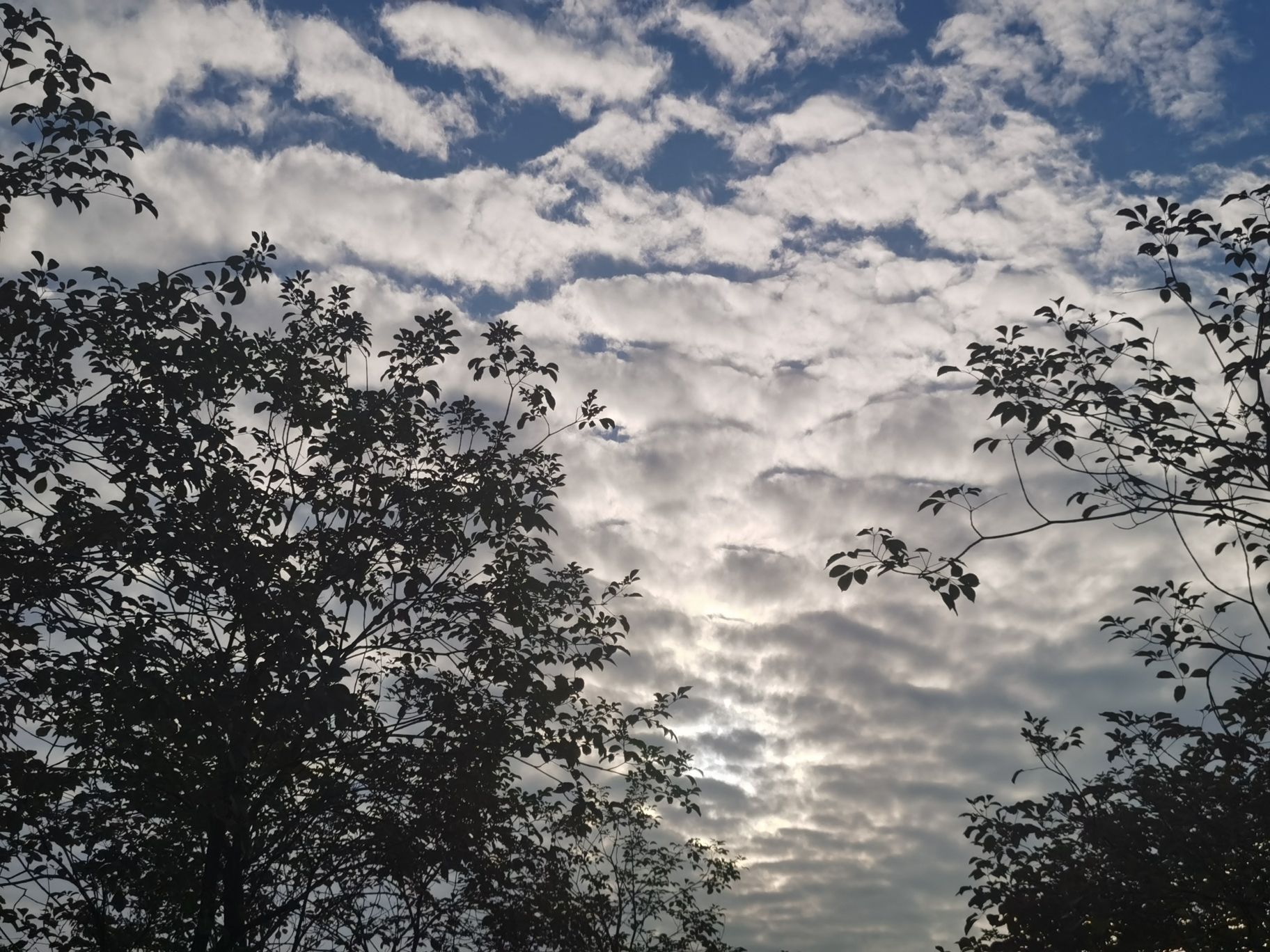英红公园旅行图片 3