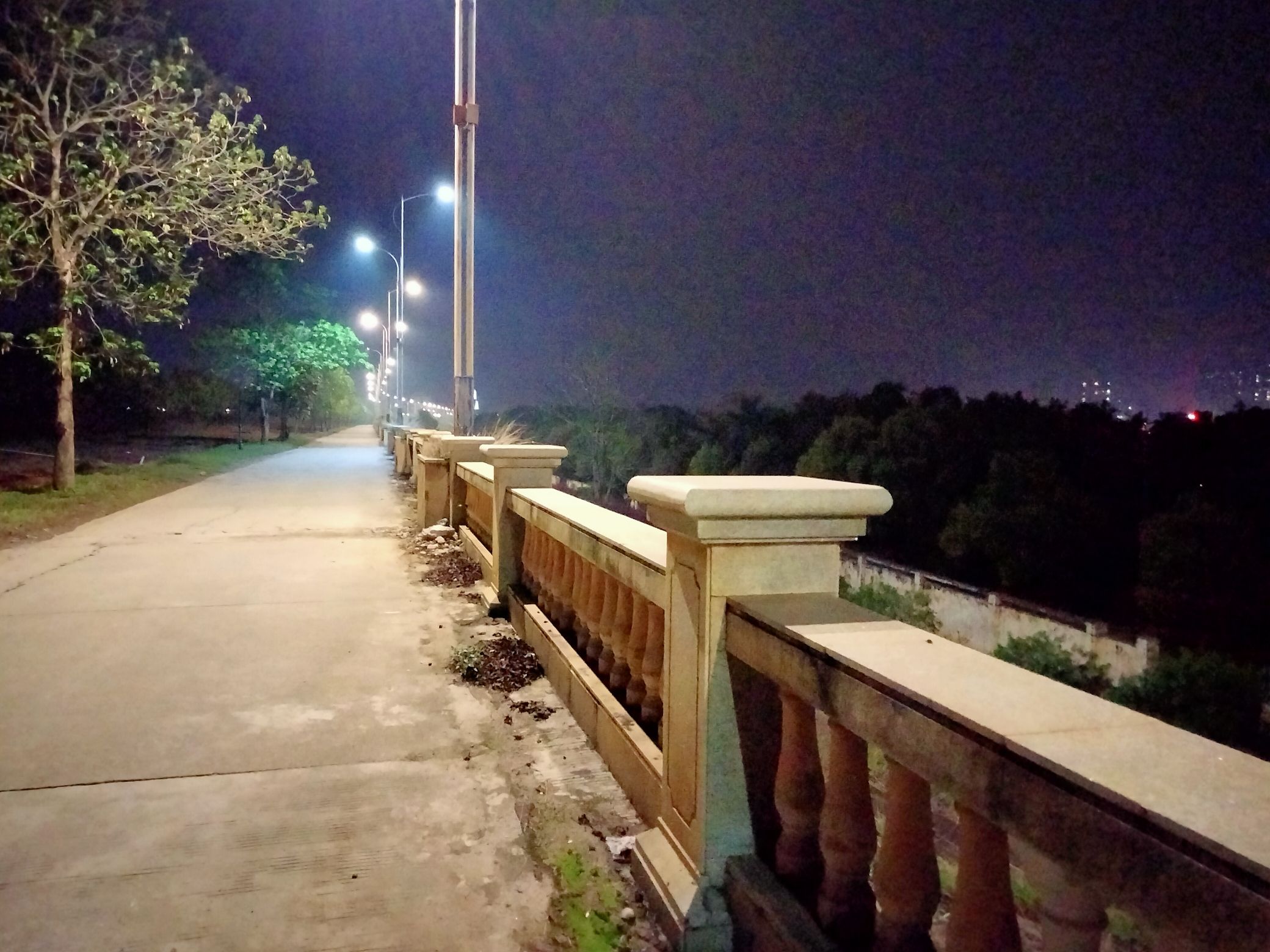 东岸滨江公园旅行图片 1