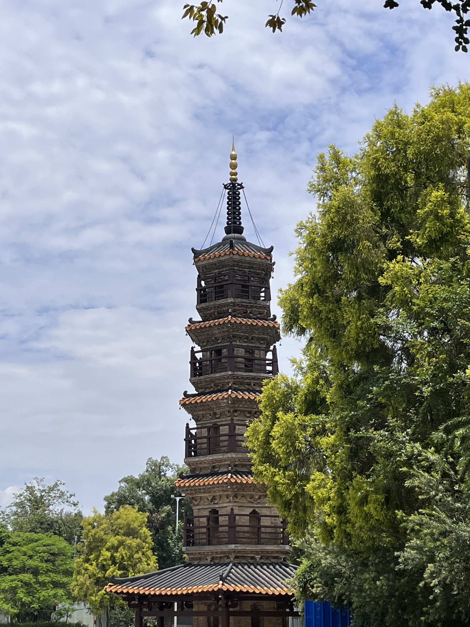 蓬莱寺塔公园旅行图片 2