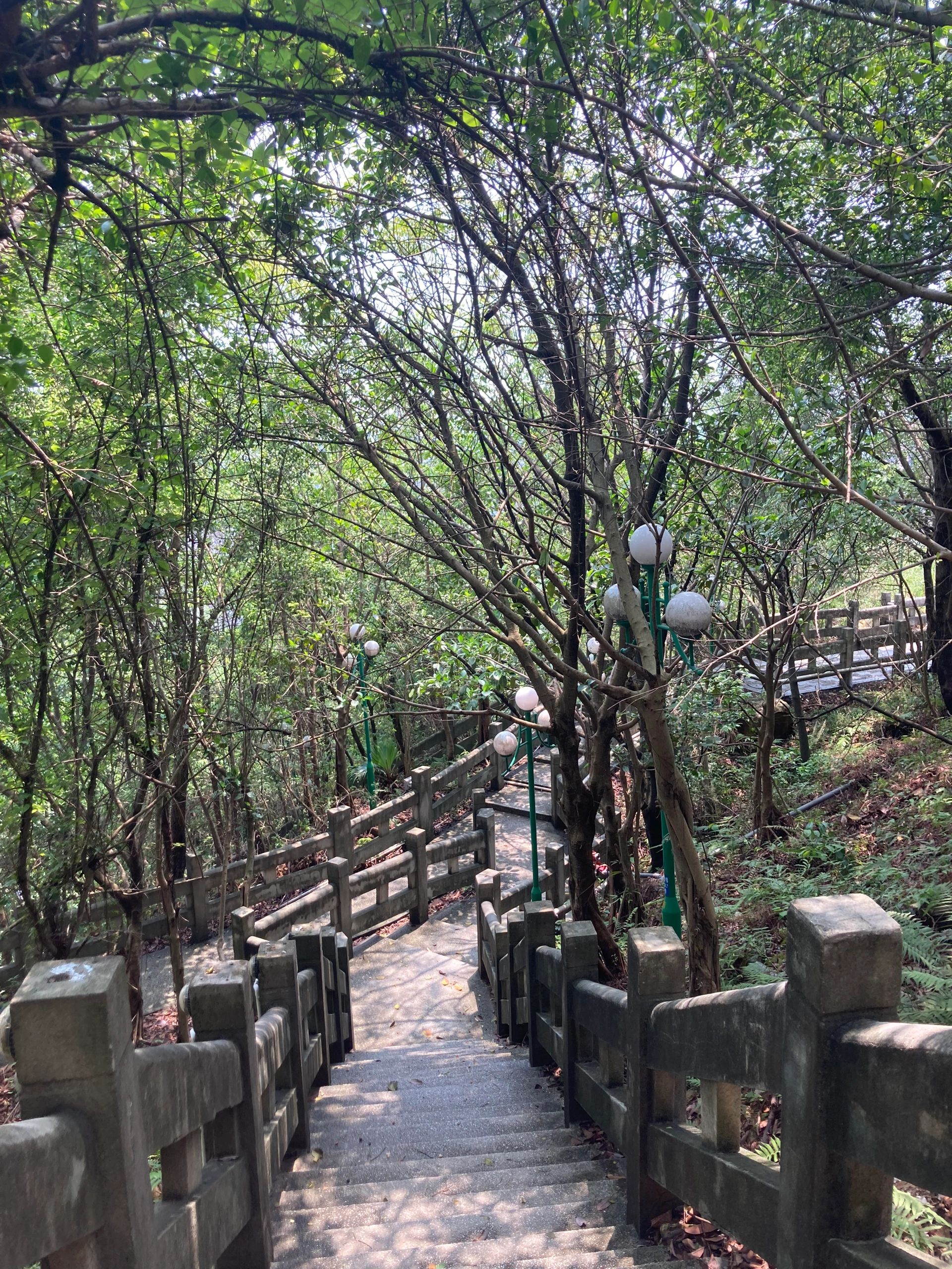 百步梯旅行图片 3