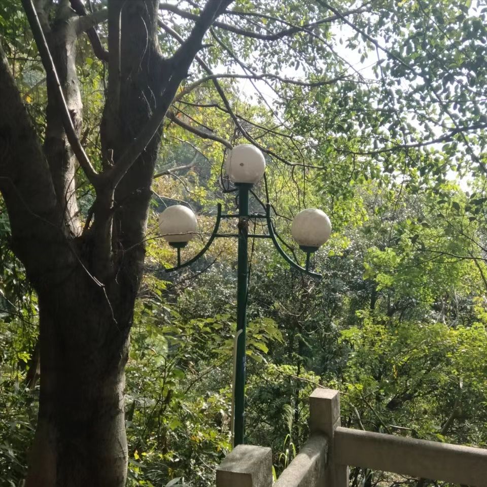 百步梯旅行图片 3