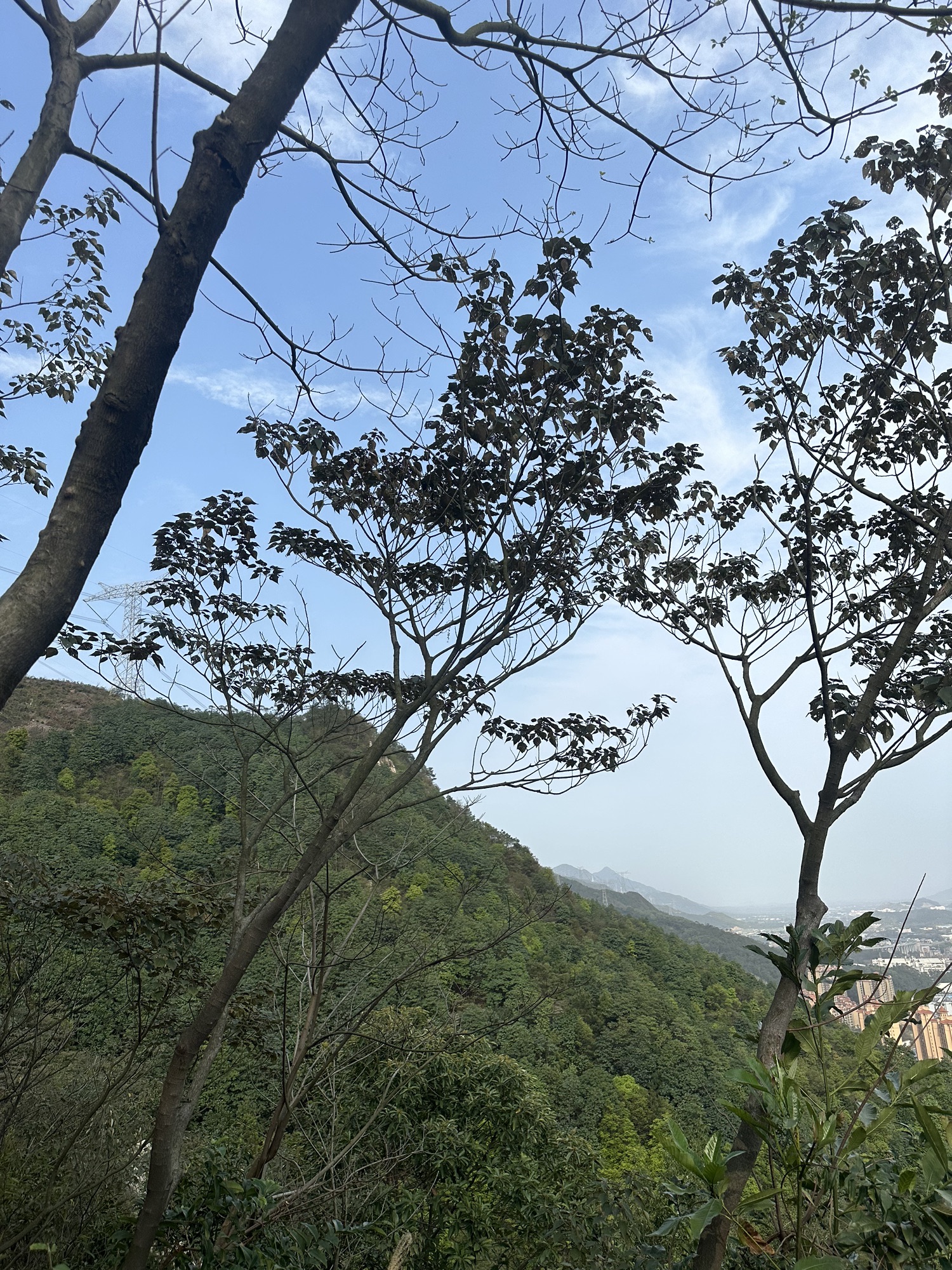 百步梯旅行图片 3
