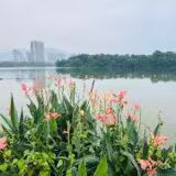飞来湖公园旅行图片 3