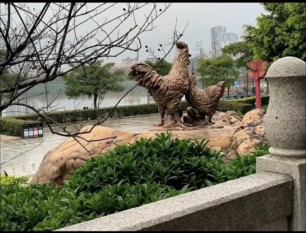 飞来湖公园旅行图片 2