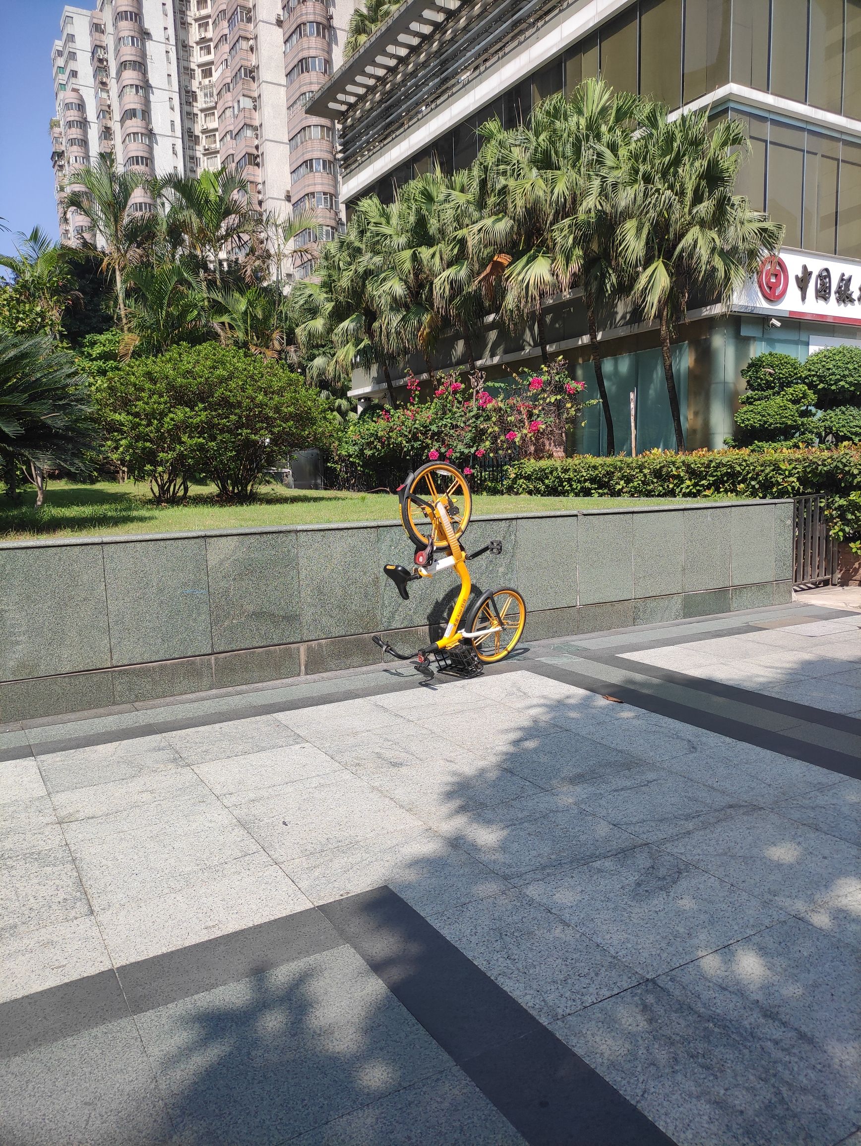 金山文化广场旅行图片 1
