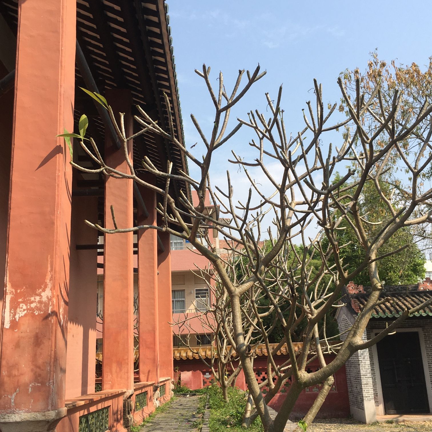 罗定学宫旅行图片 2