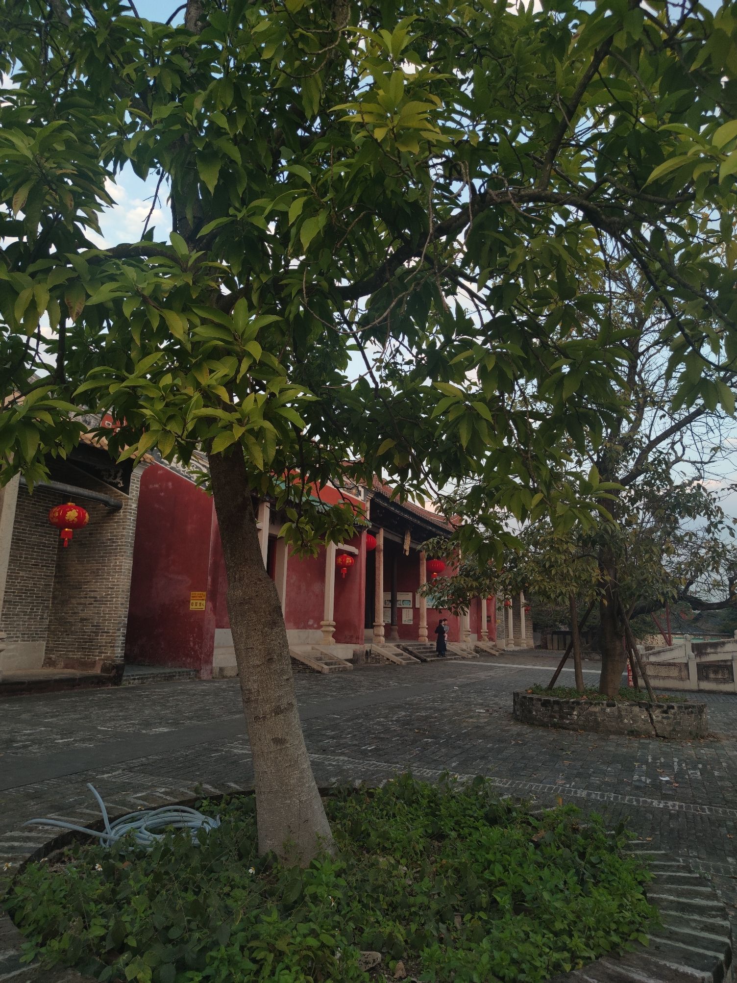 罗定学宫旅行图片 1