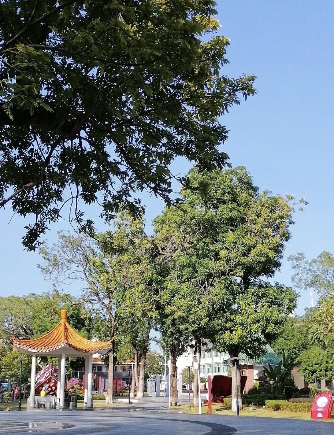 中山公园旅行图片 2