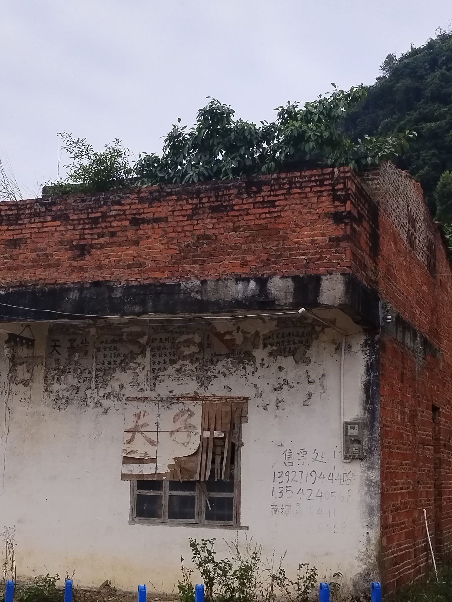 天子岩旅行图片 1