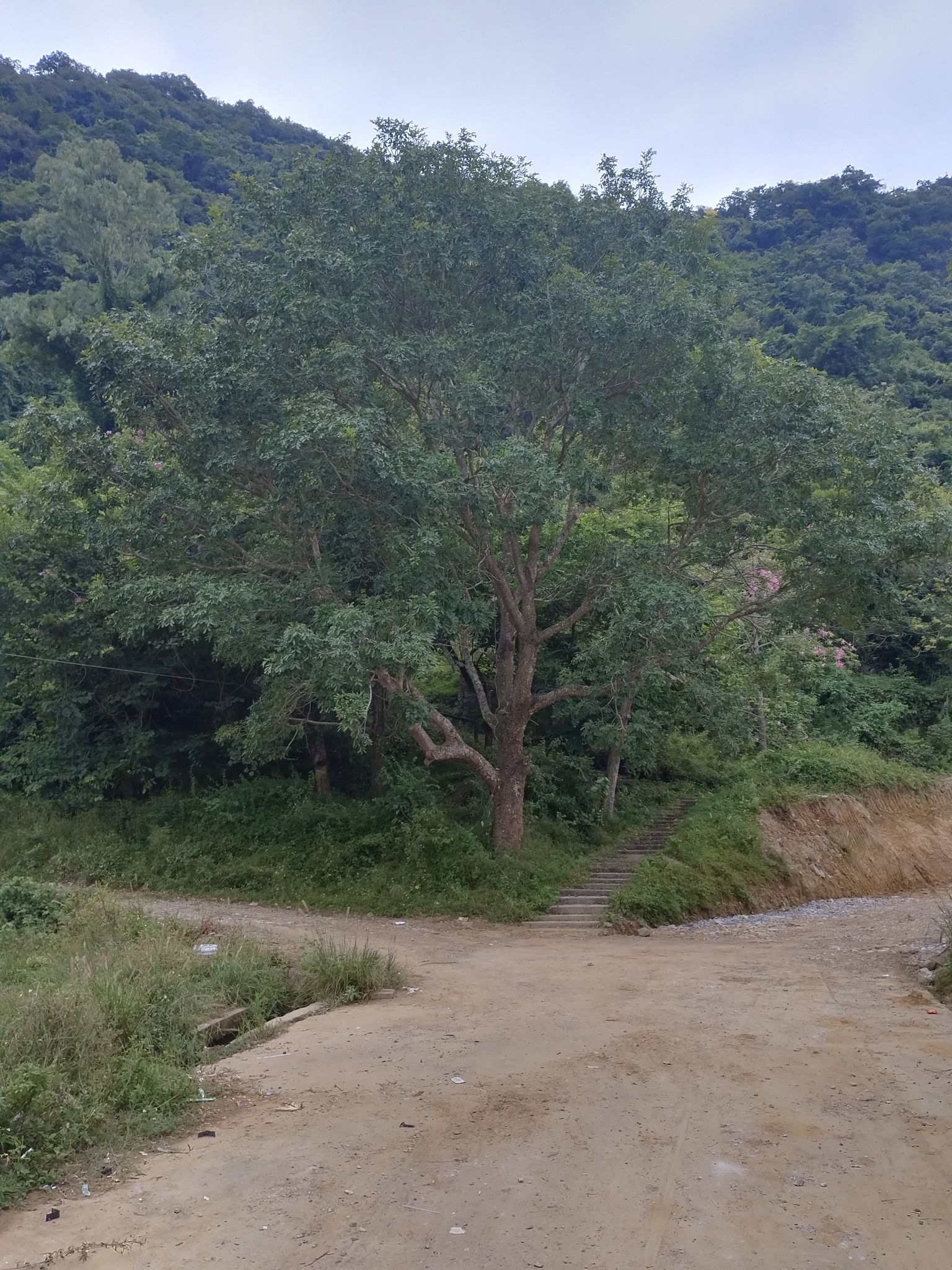 天子岩旅行图片 2