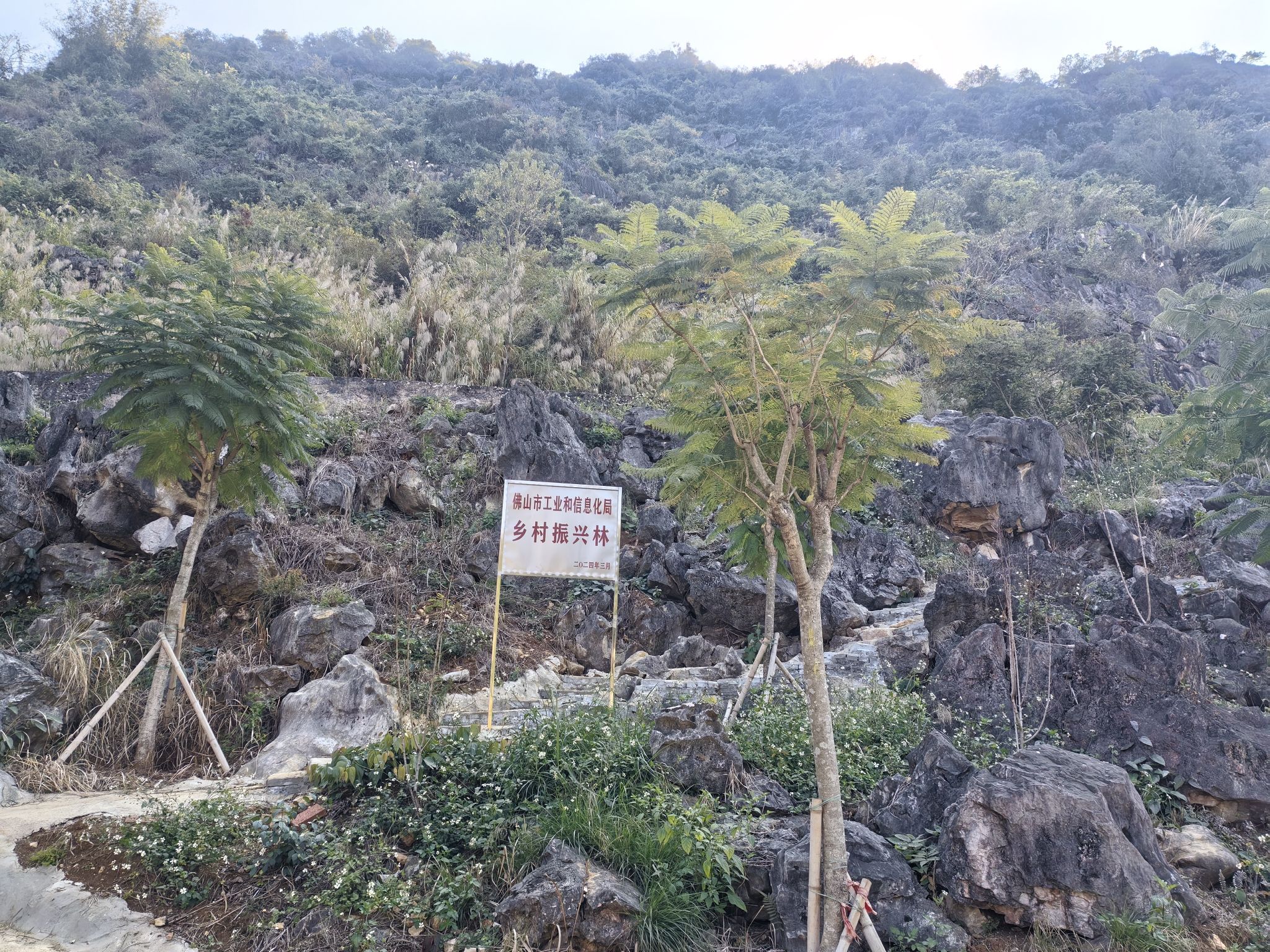 天子岩旅行图片 2