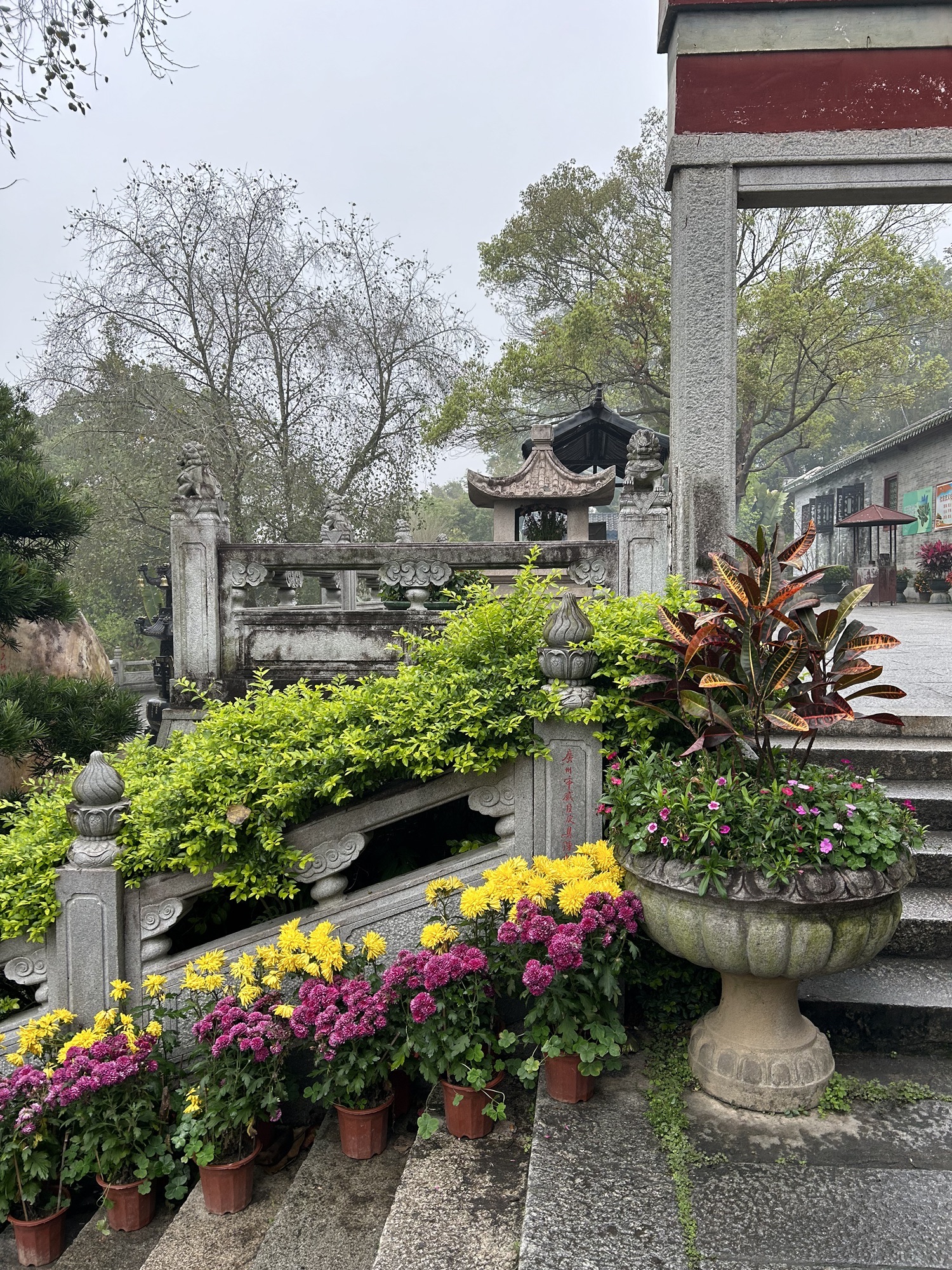 六祖故里旅游度假区旅行图片 1