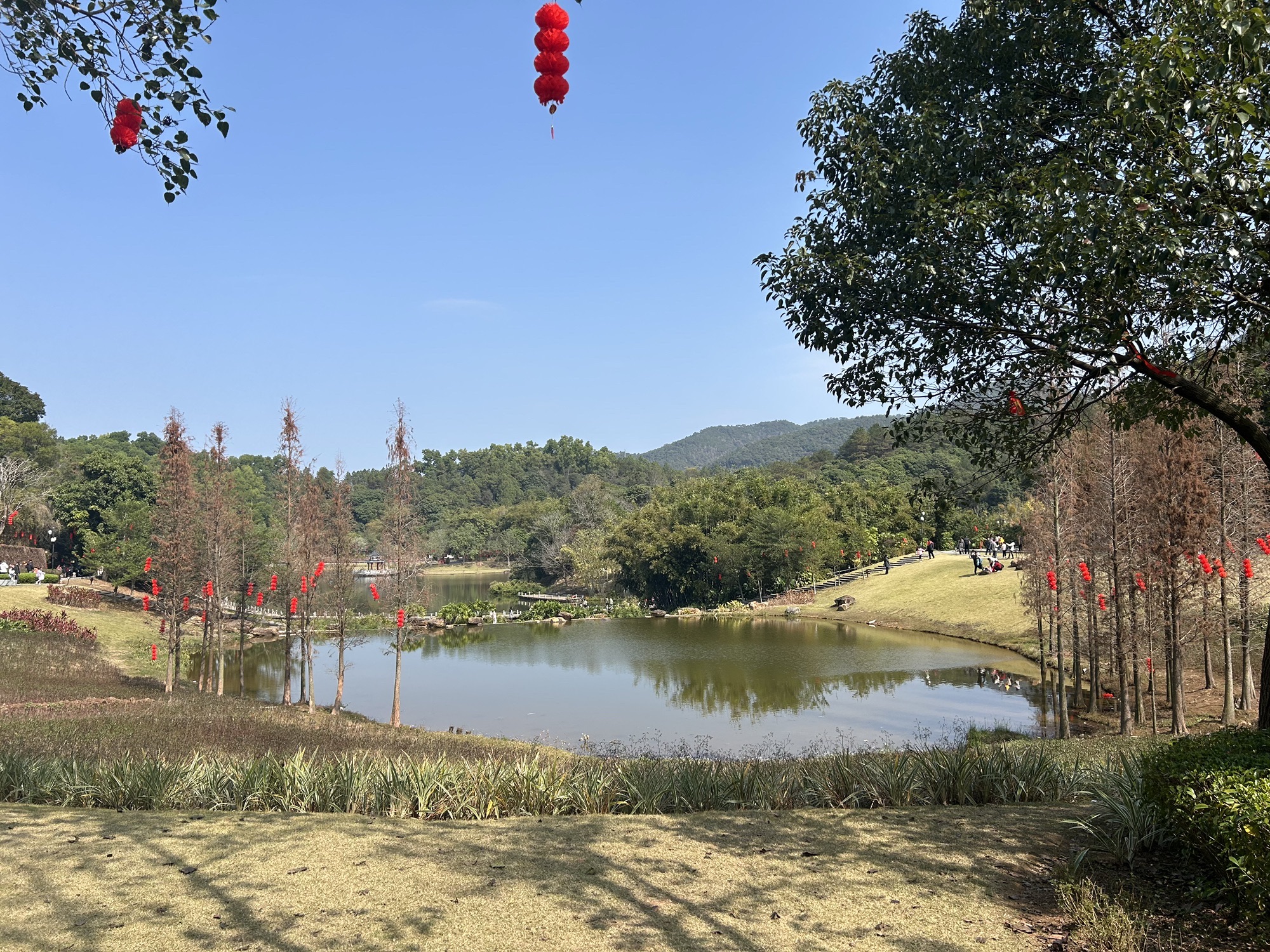 六祖故里旅游度假区旅行图片 3