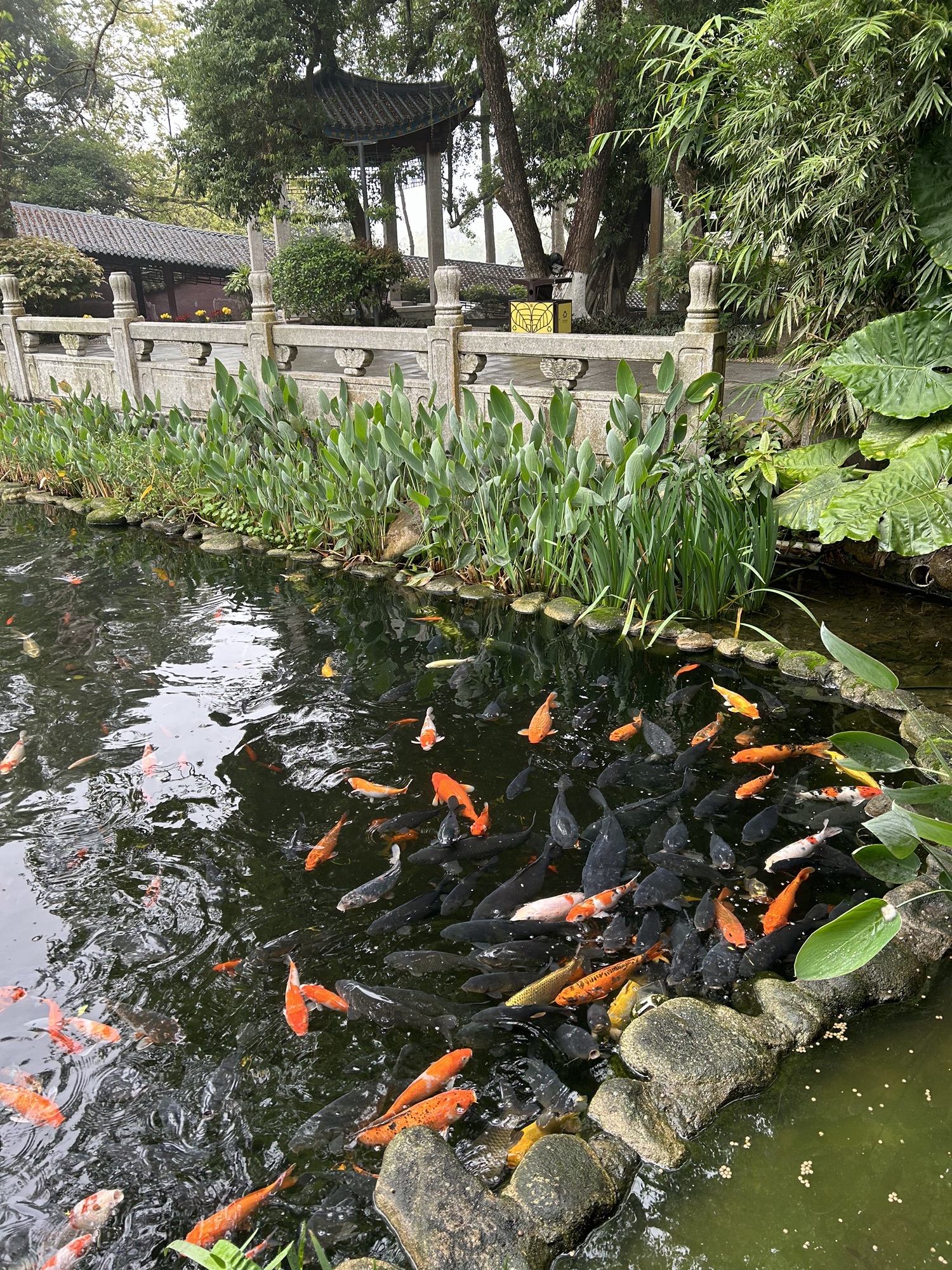 六祖故里旅游度假区旅行图片 3