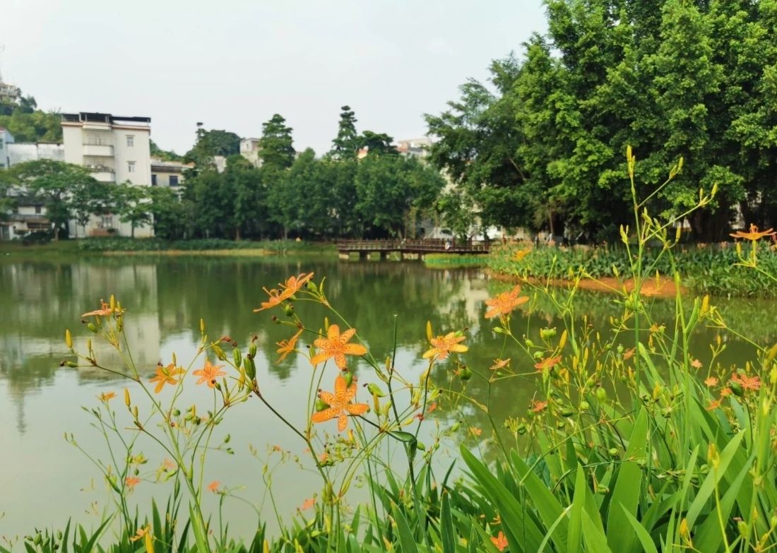 天堂公园旅行图片 2