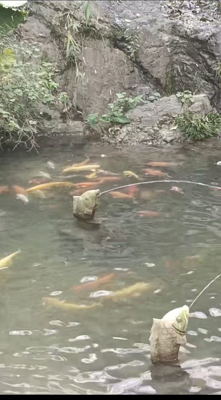 藏佛坑旅行图片 1