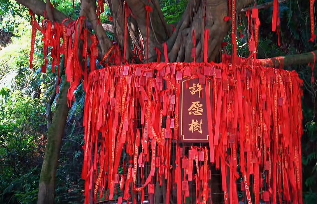 藏佛坑旅行图片 3