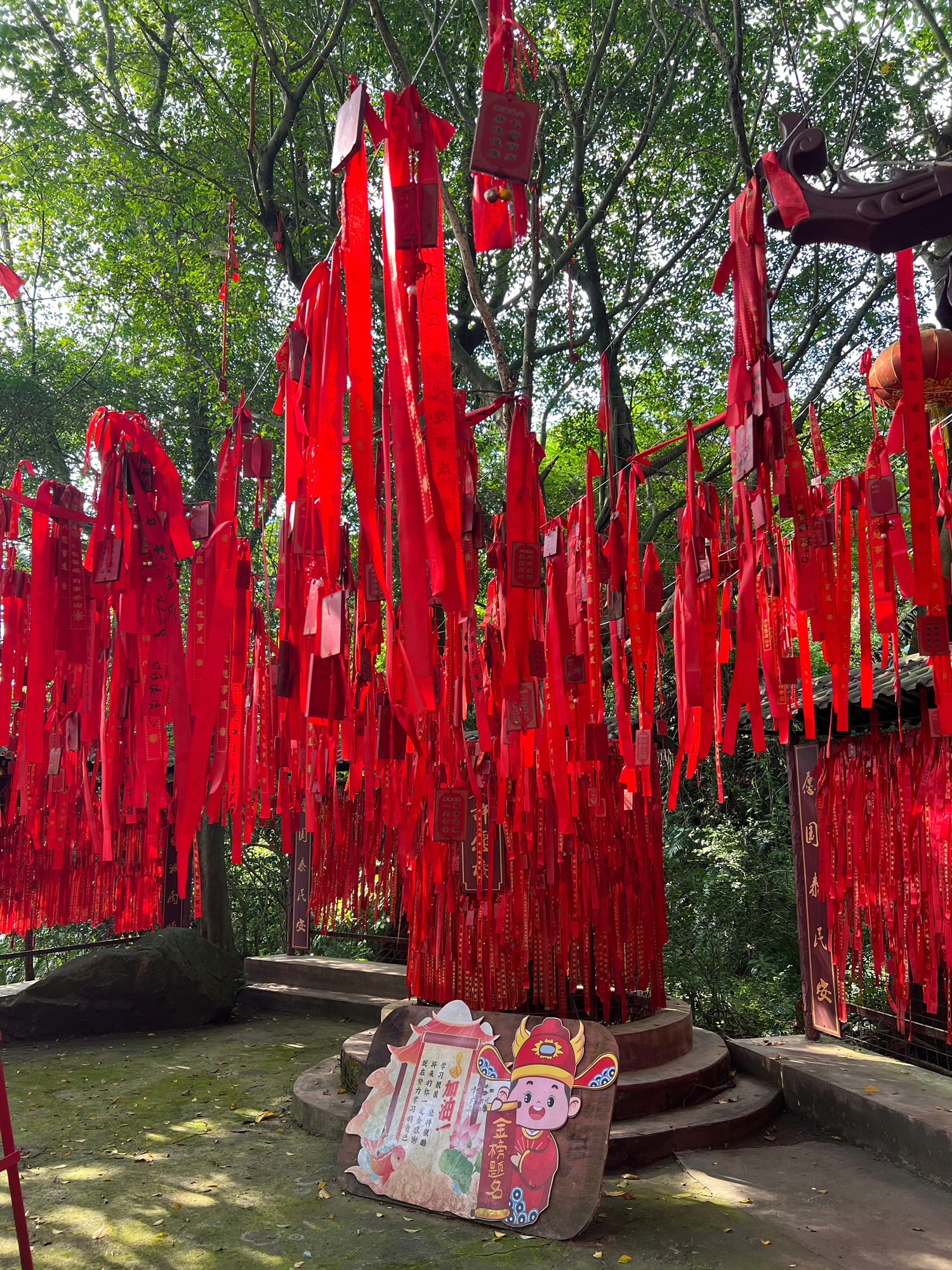 藏佛坑旅行图片 2