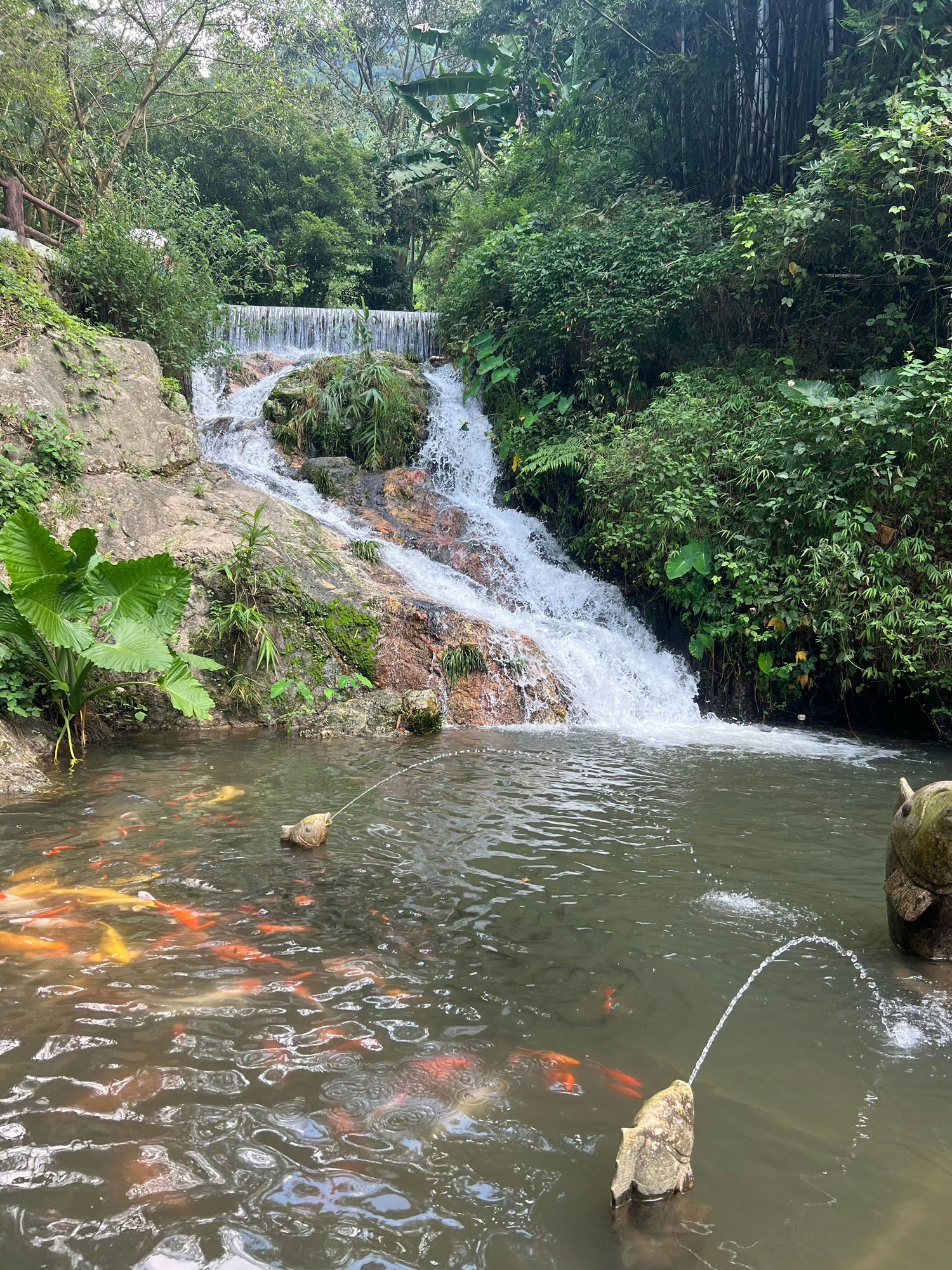 藏佛坑旅行图片 3