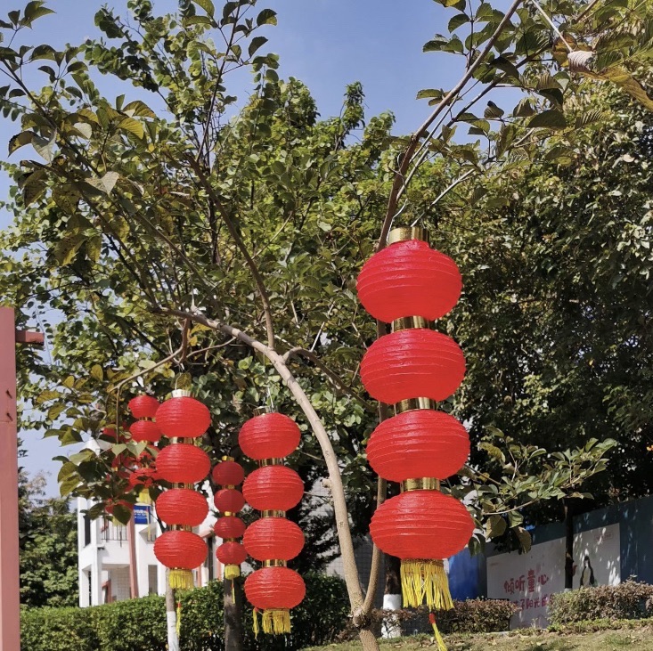藏佛坑旅行图片 2