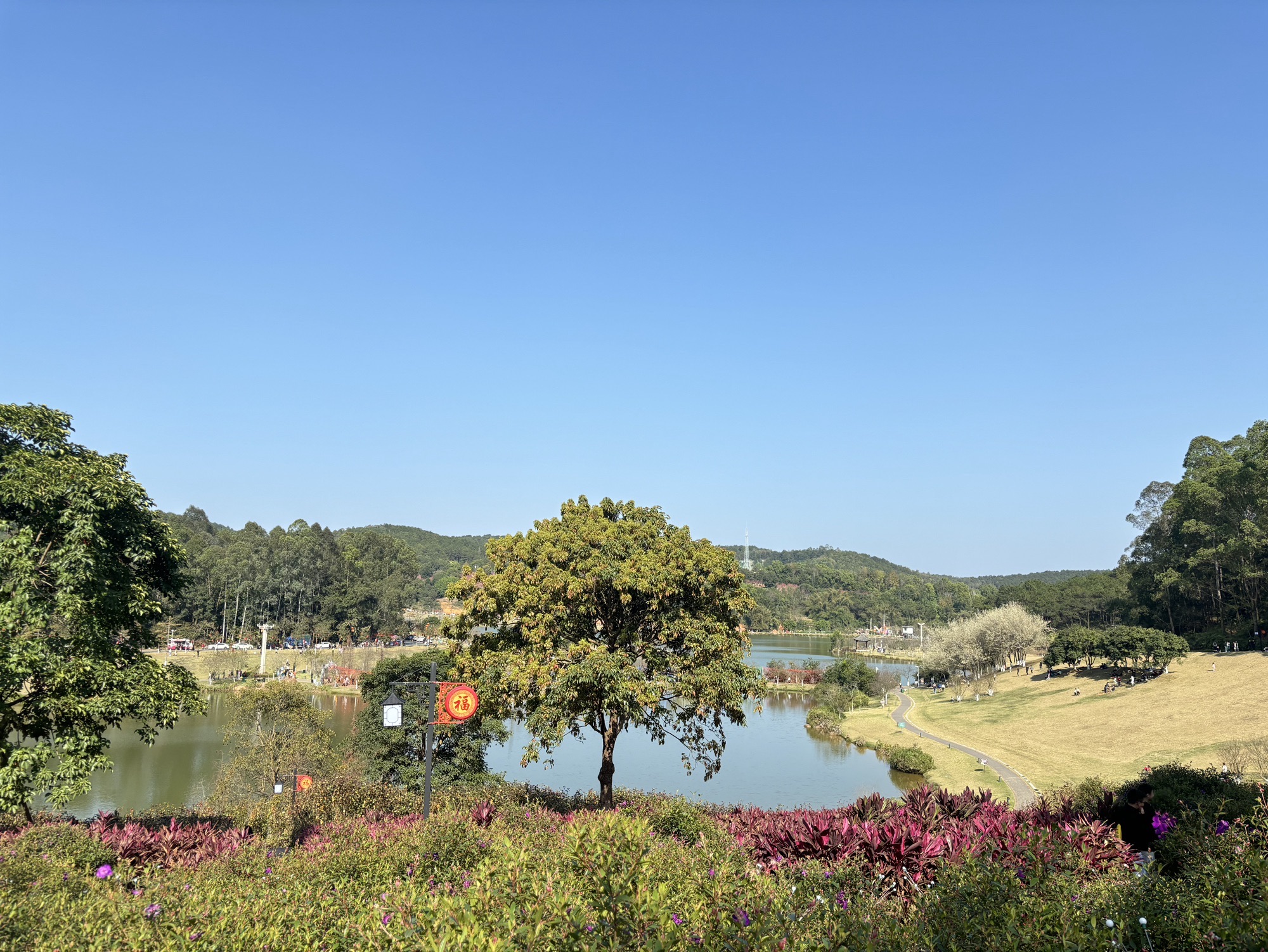 大王山国家森林公园旅行图片 1