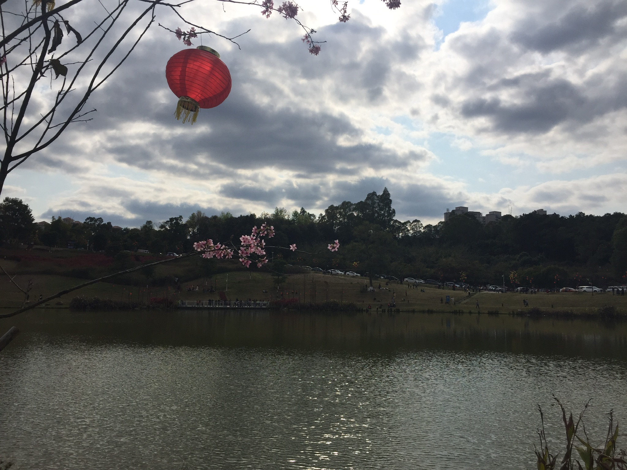 大王山国家森林公园旅行图片 3