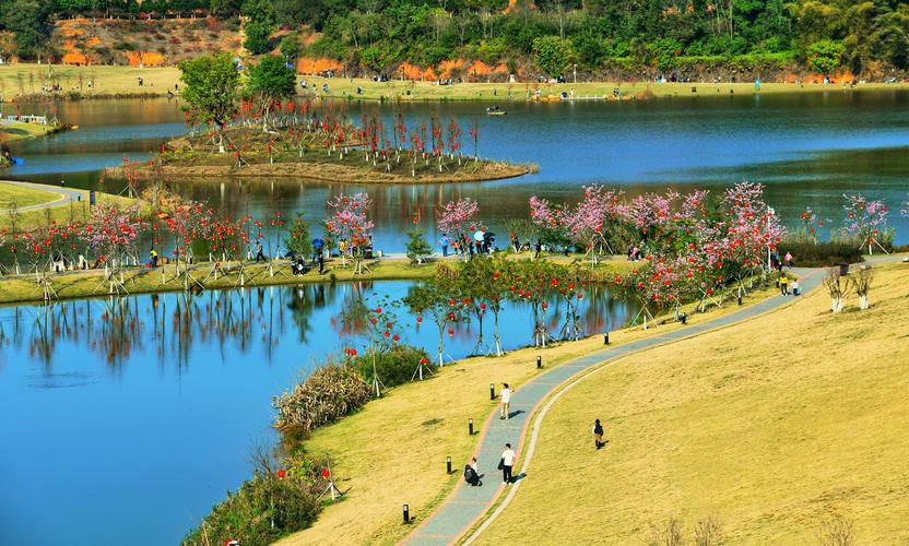 大王山国家森林公园旅行图片 3