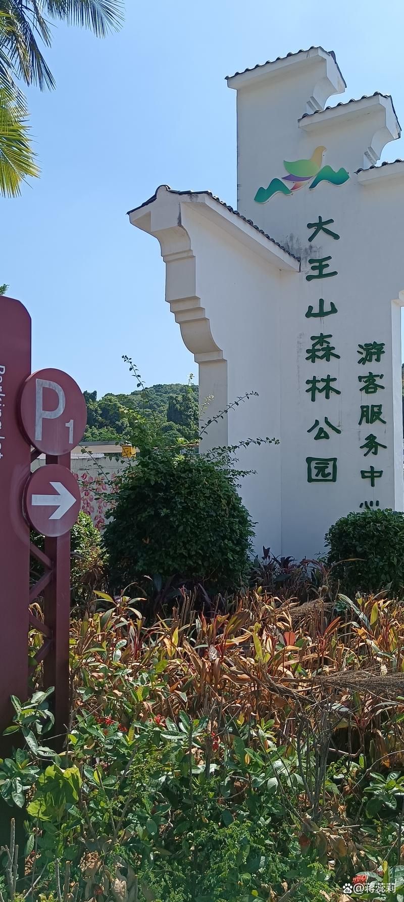 大王山国家森林公园旅行图片 1