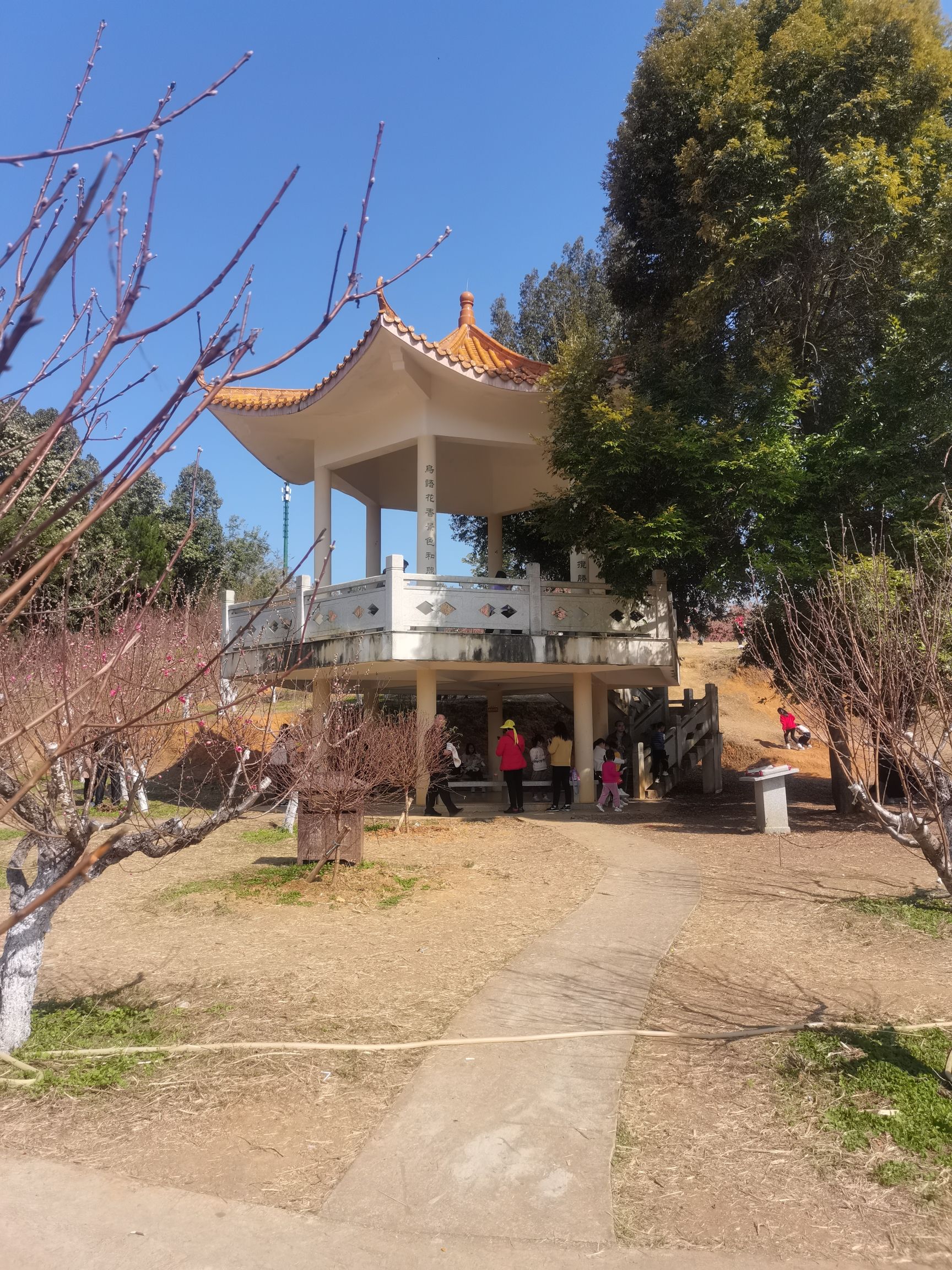 大王山公园旅行图片 3
