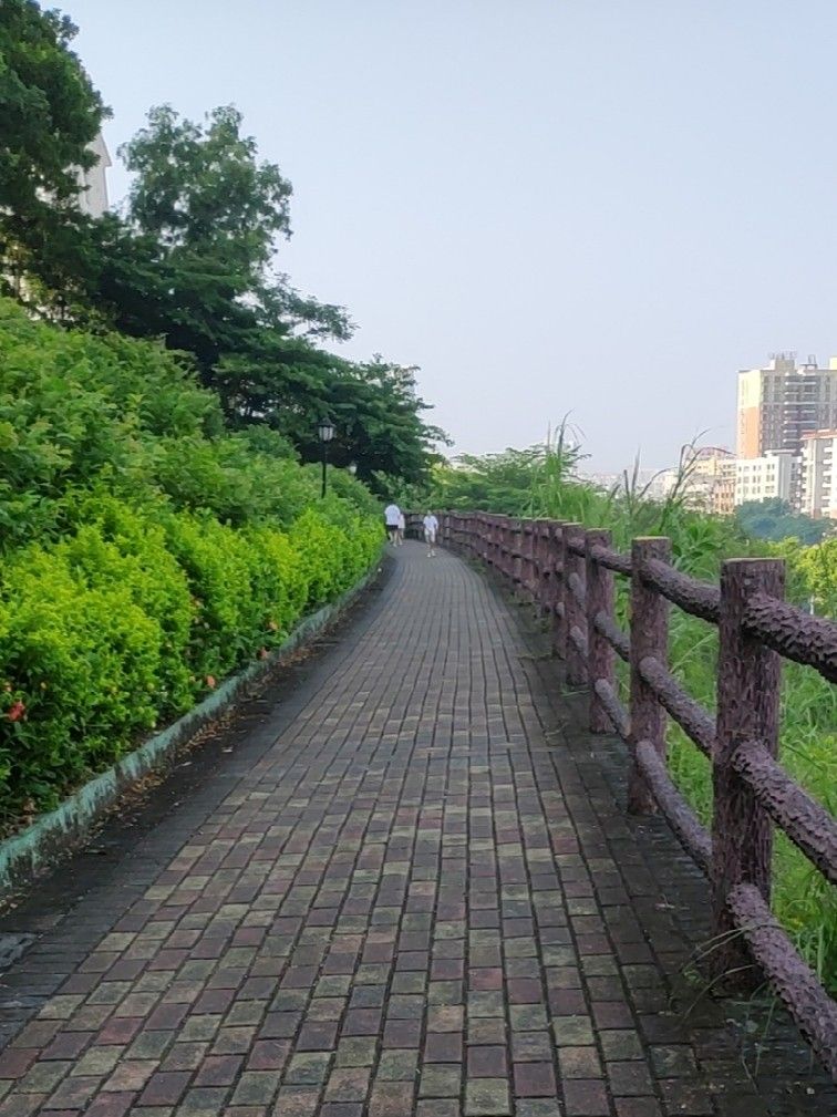 百合山公园旅行图片 1