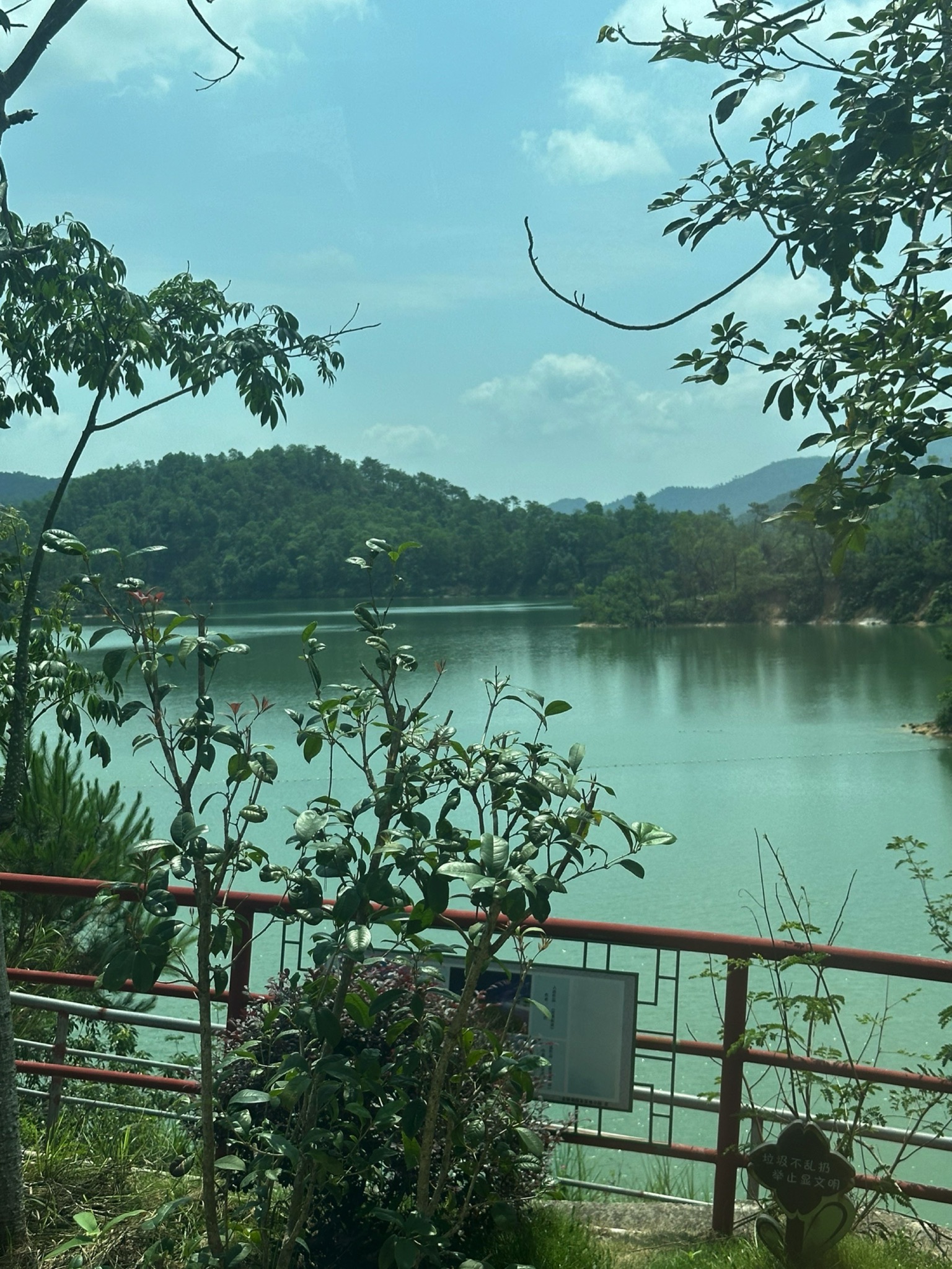 广东罗定金银湖国家湿地公园旅行图片 1