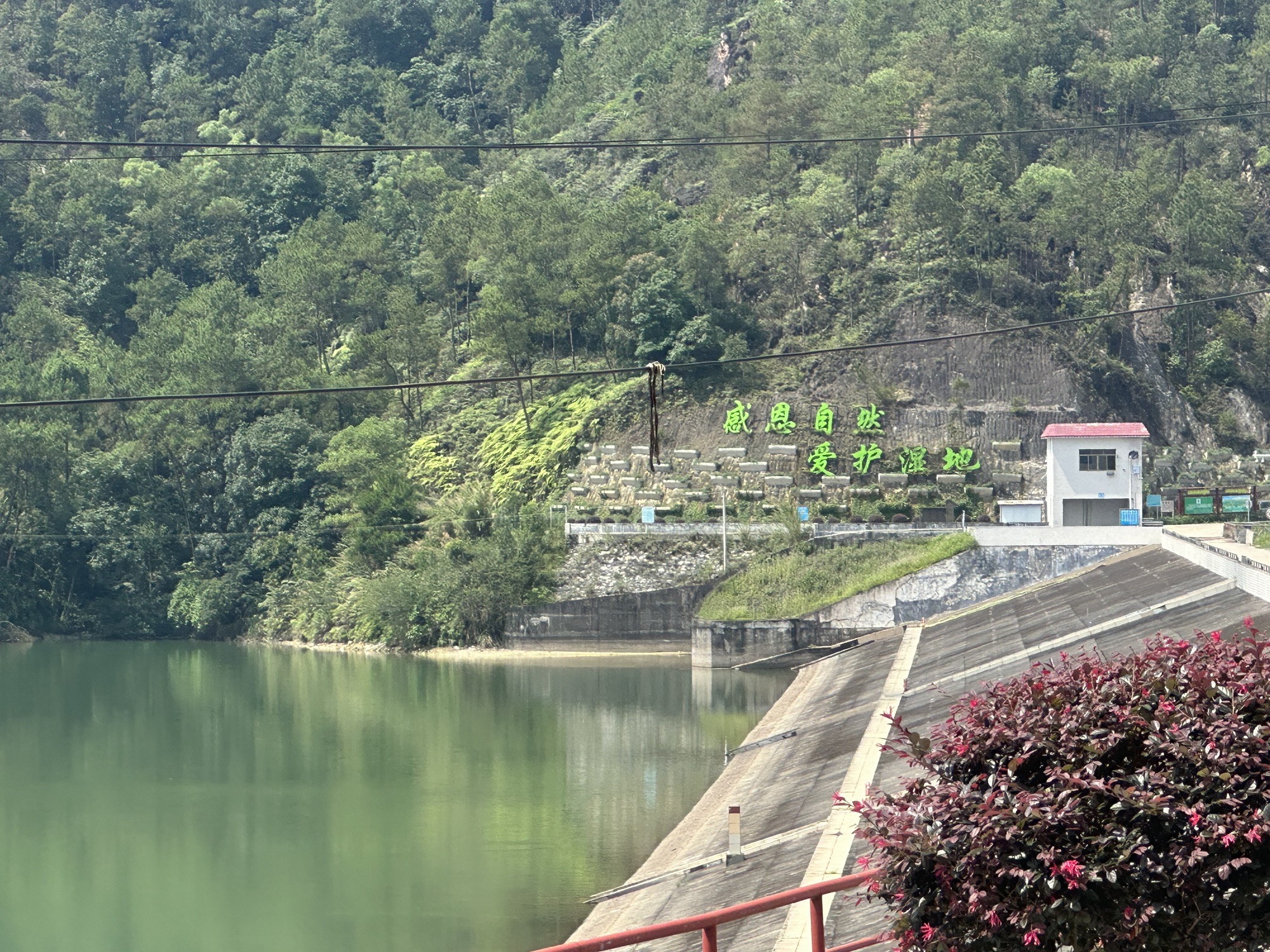 广东罗定金银湖国家湿地公园旅行图片 3