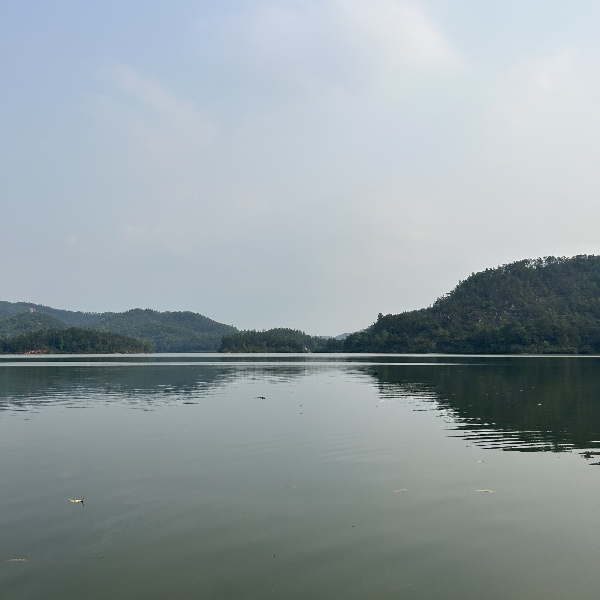 广东罗定金银湖国家湿地公园旅行图片 1