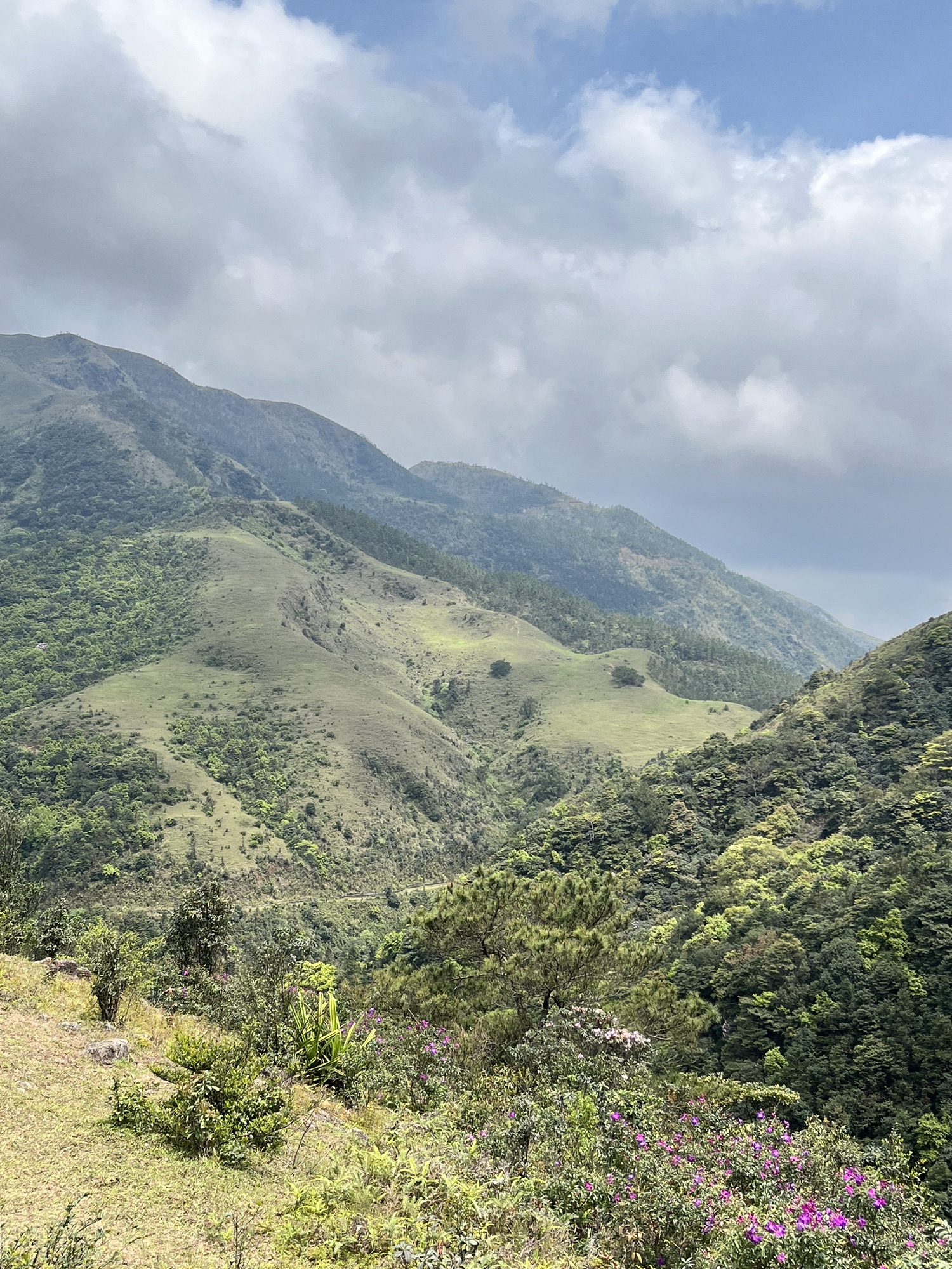 广东天露山旅游度假区旅行图片 1