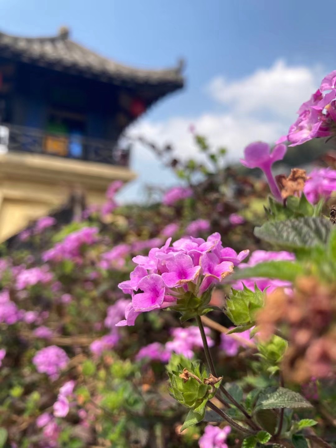 广东天露山旅游度假区旅行图片 3