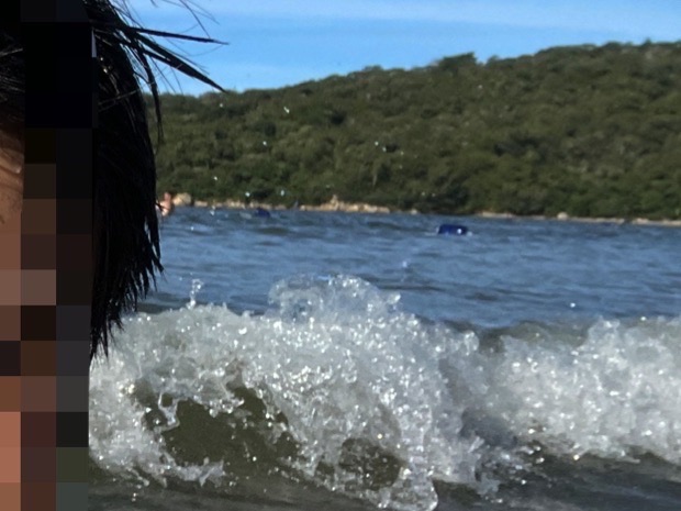 金狮湾度假村旅行图片 2