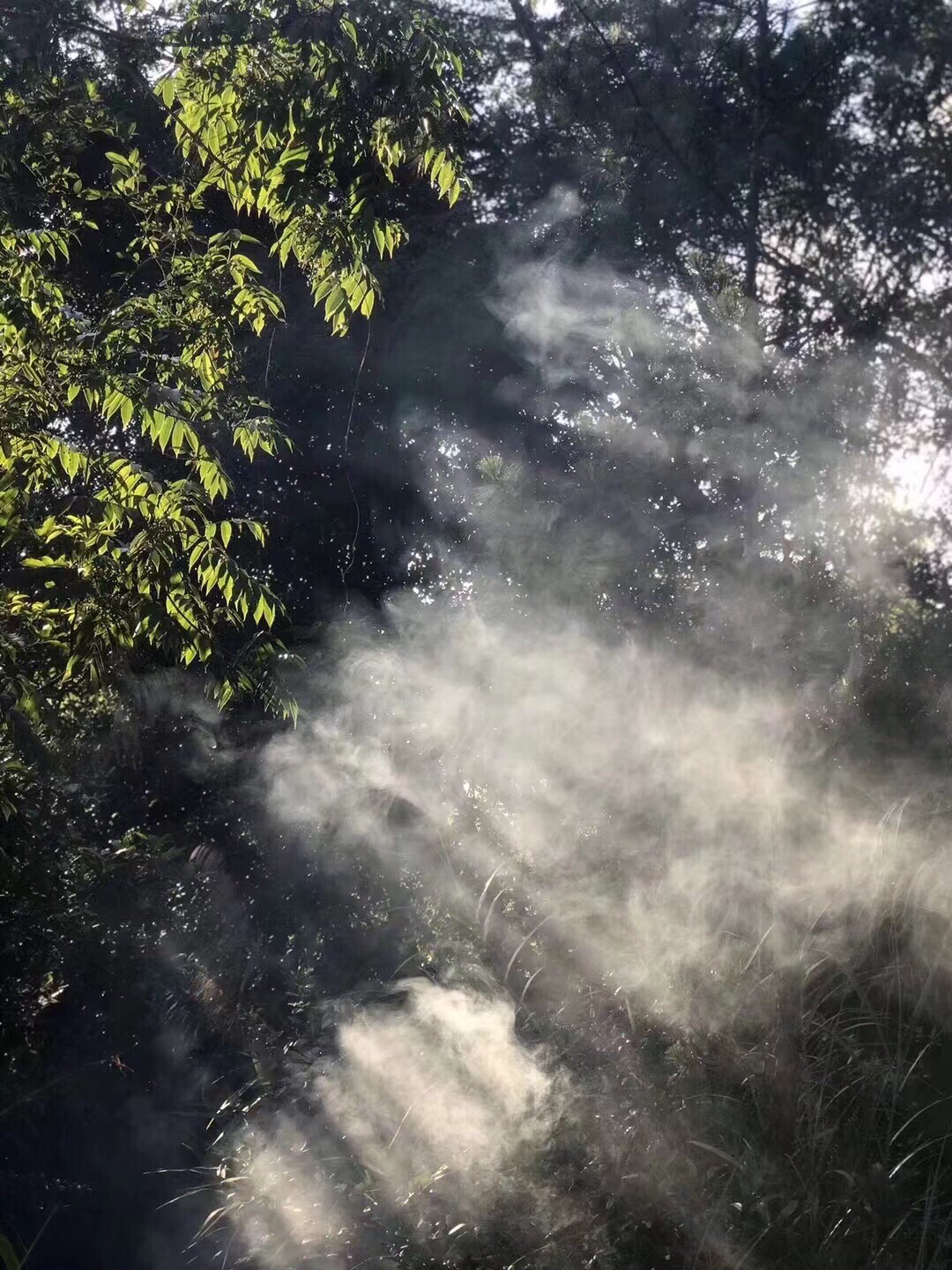 凤凰山旅行图片 2