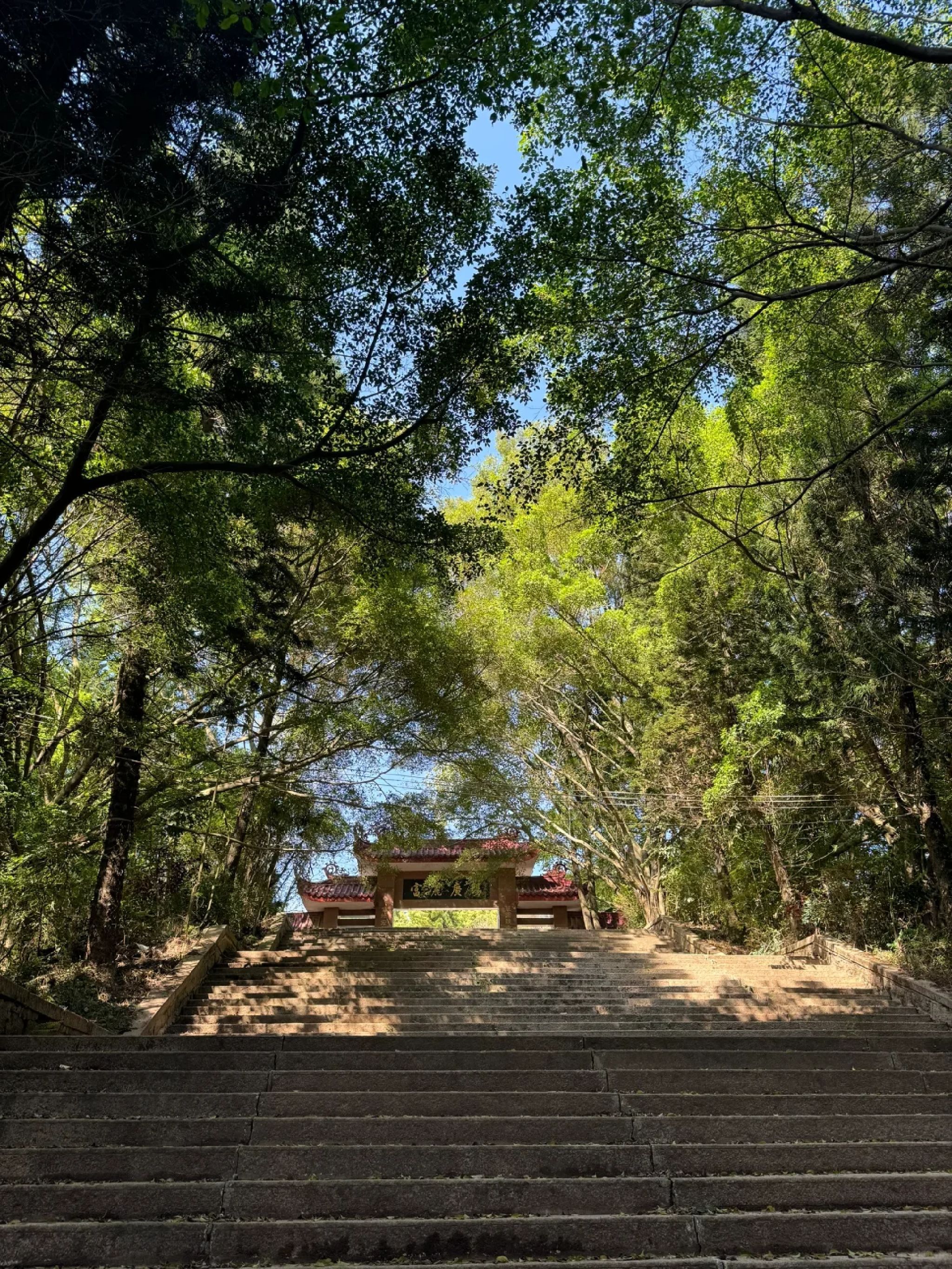 富丽公园旅行图片 1