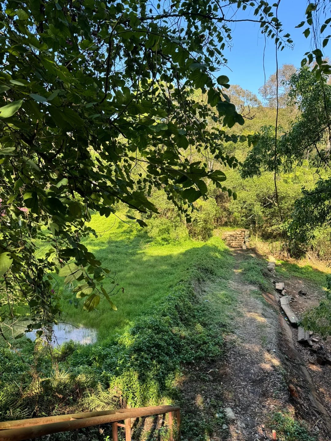 富丽公园旅行图片 2
