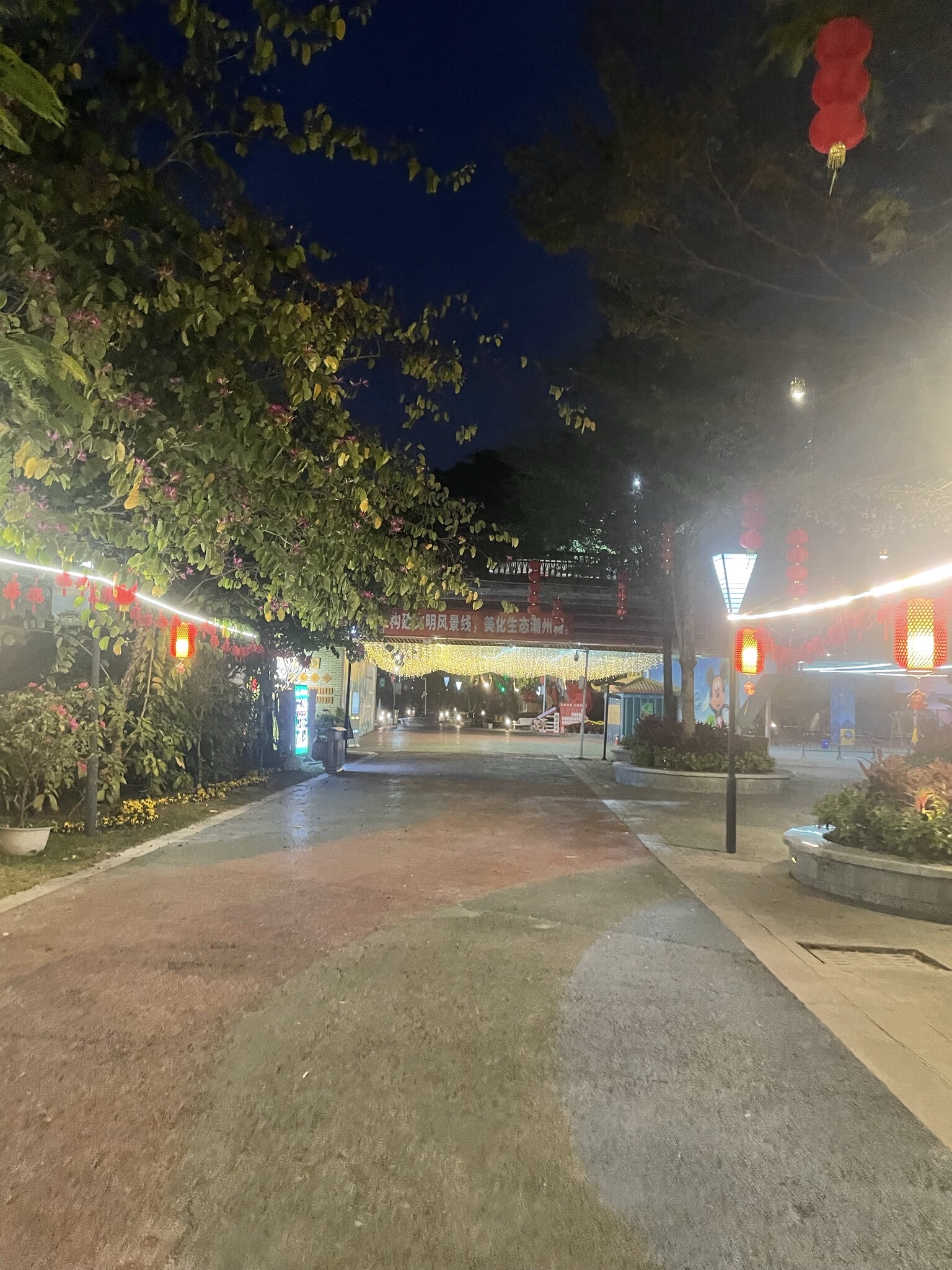 凤凰洲公园旅行图片 2