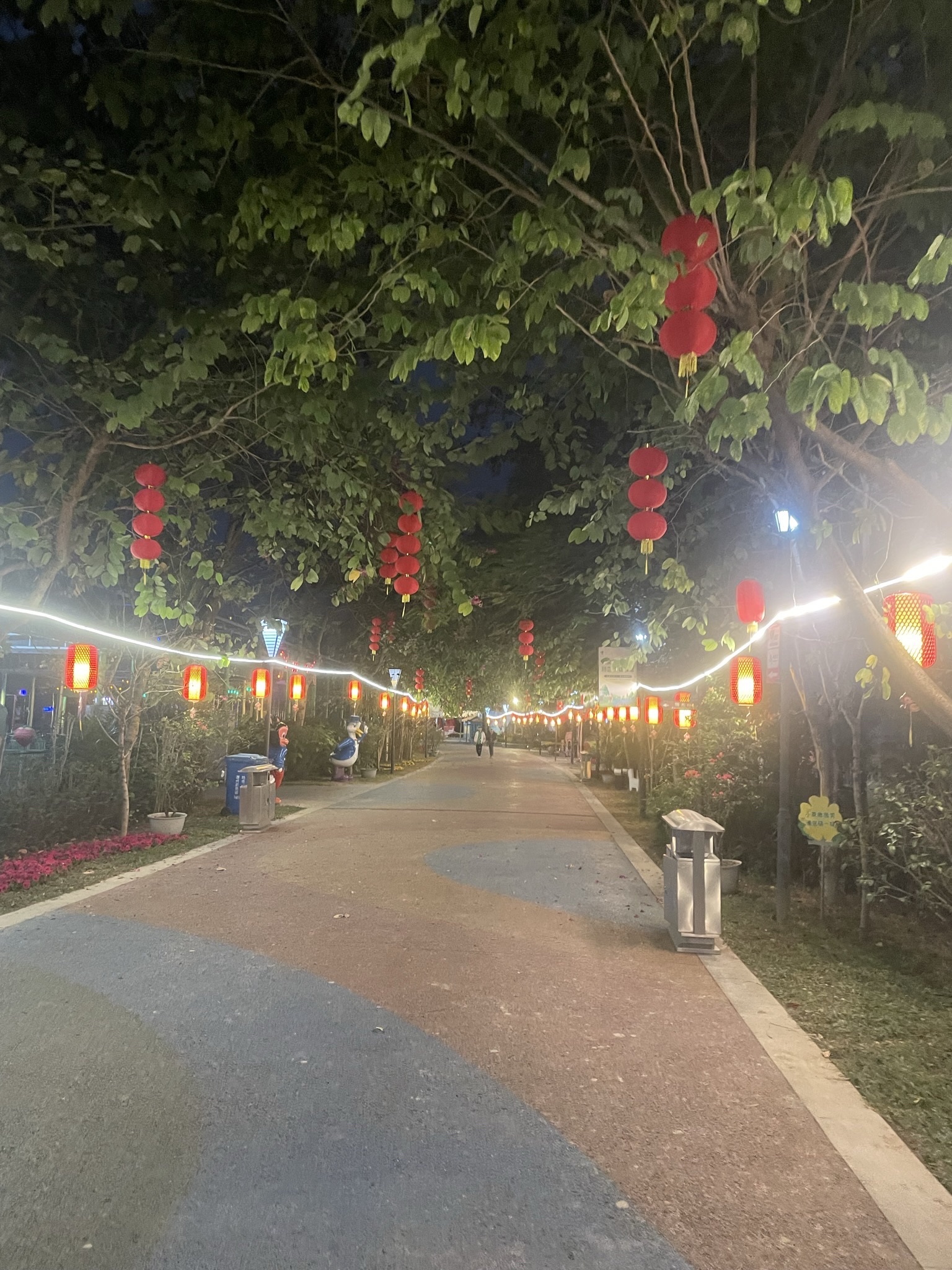 凤凰洲公园旅行图片 1