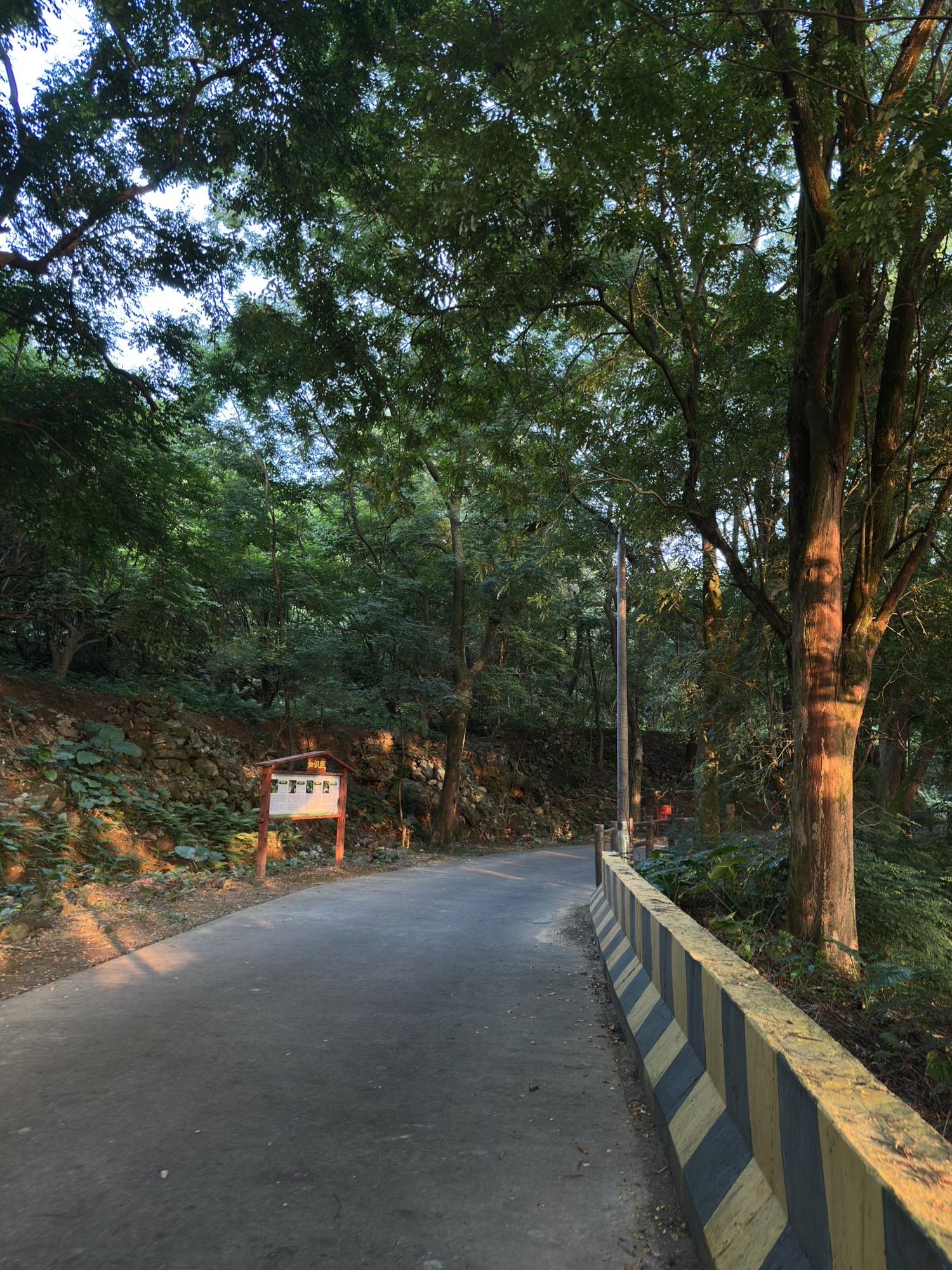 红山森林公园旅行图片 1